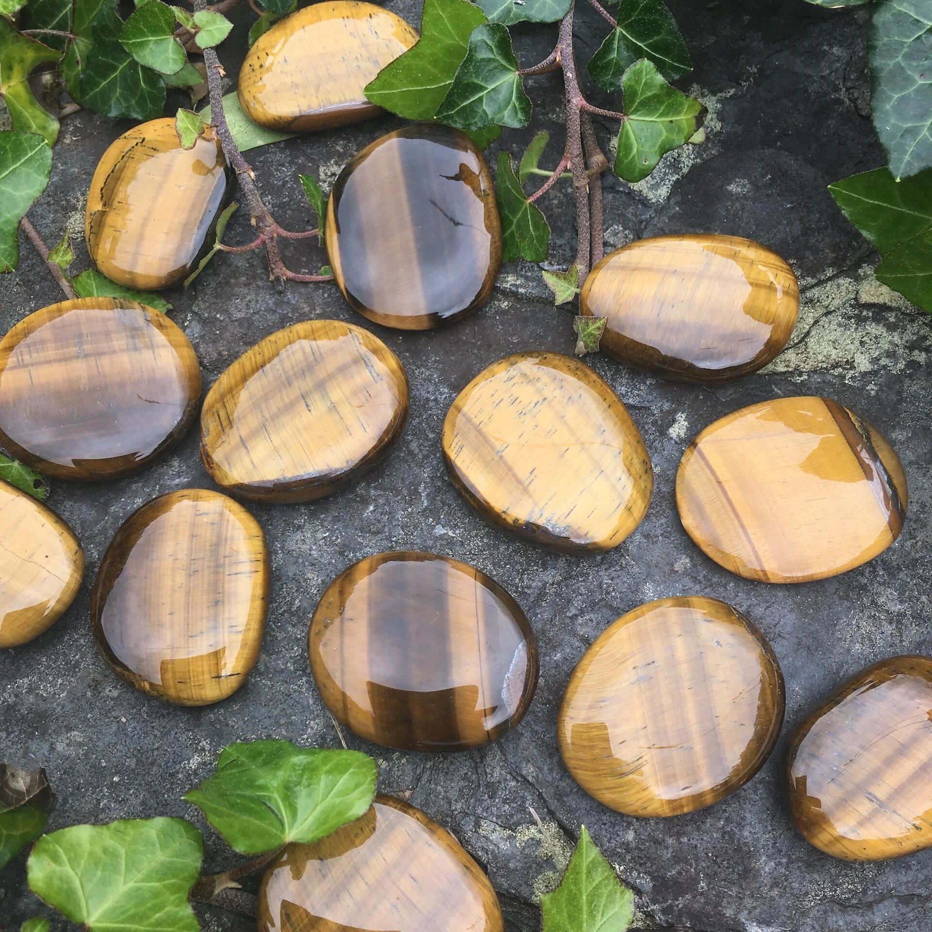 Tiger Eye smooth £8a.jpeg