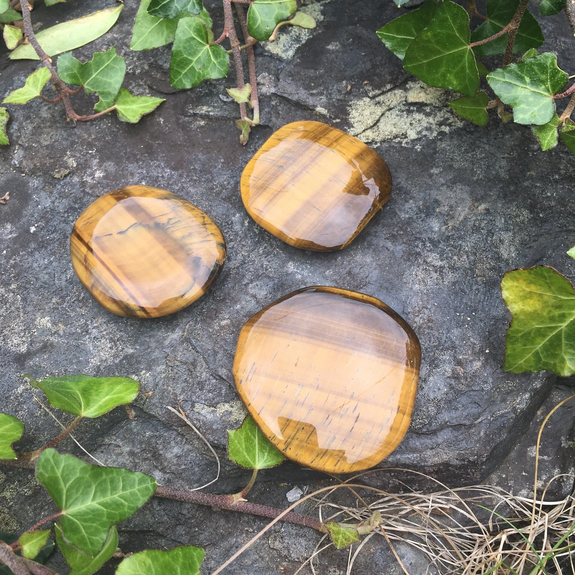 Tiger Eye smooth £10a.jpeg