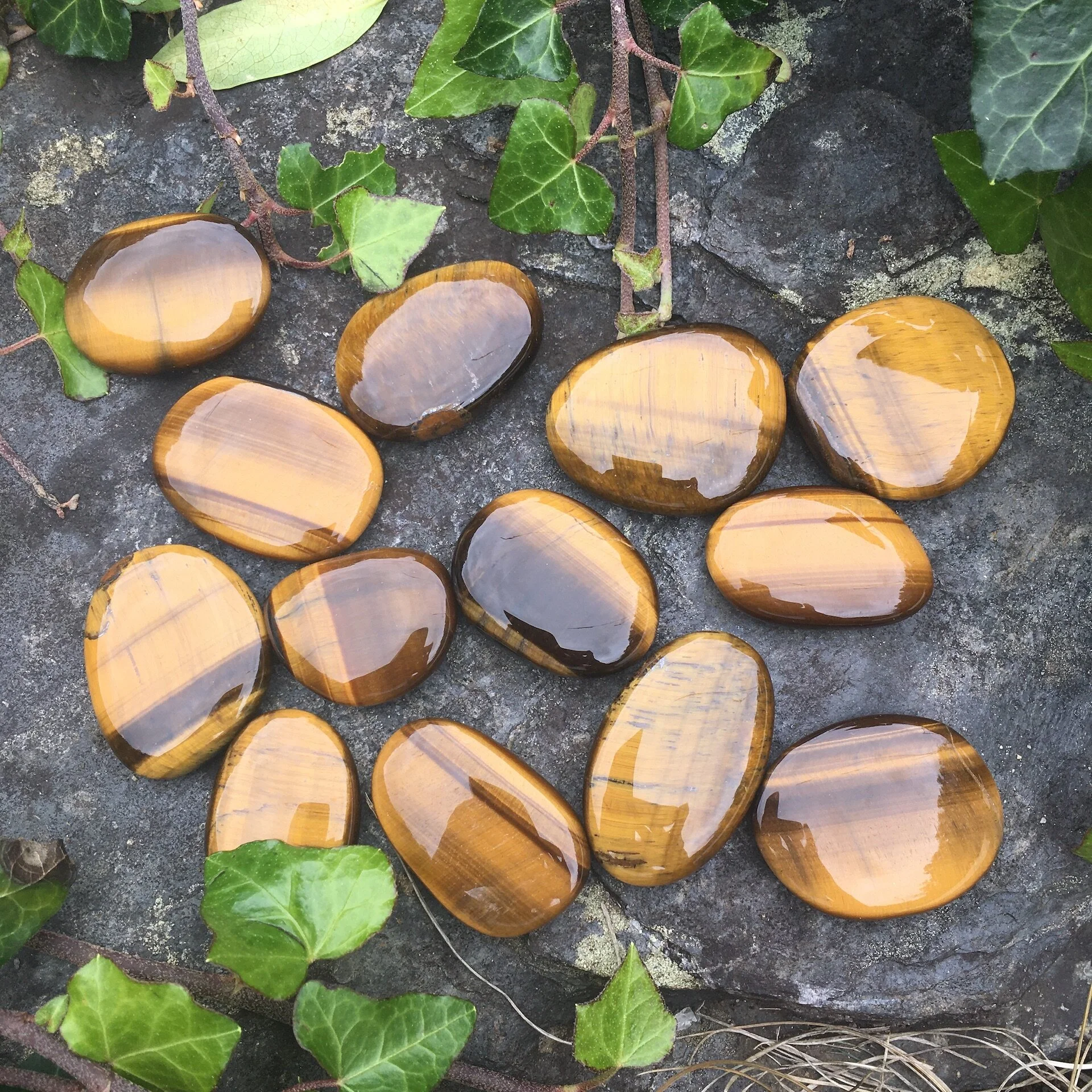 Tiger Eye smooth £7a.jpeg
