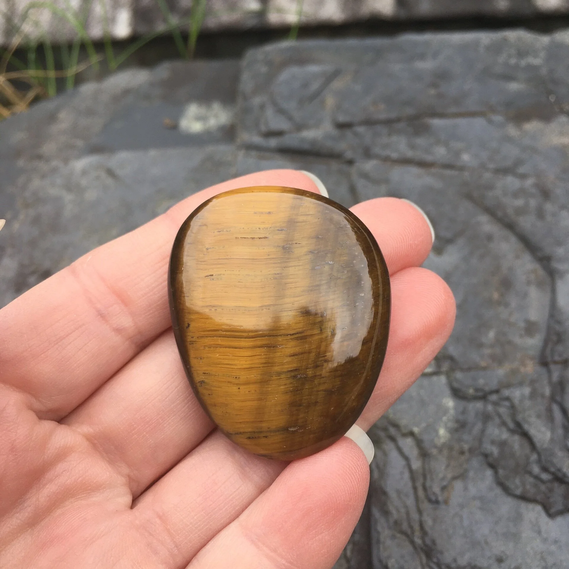 Tiger Eye smooth £7b.jpeg