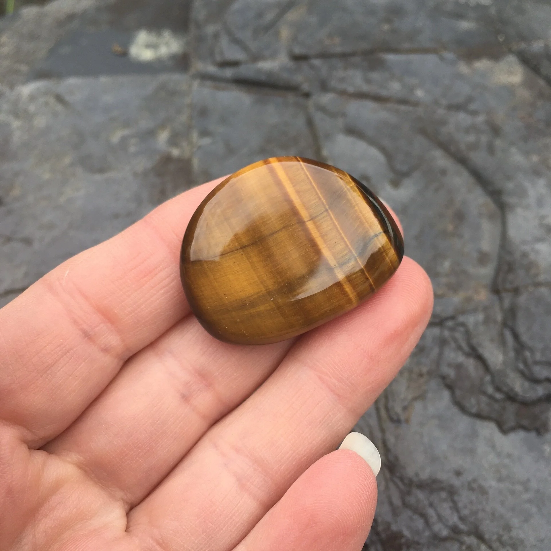 Tiger Eye smooth £7c.jpeg