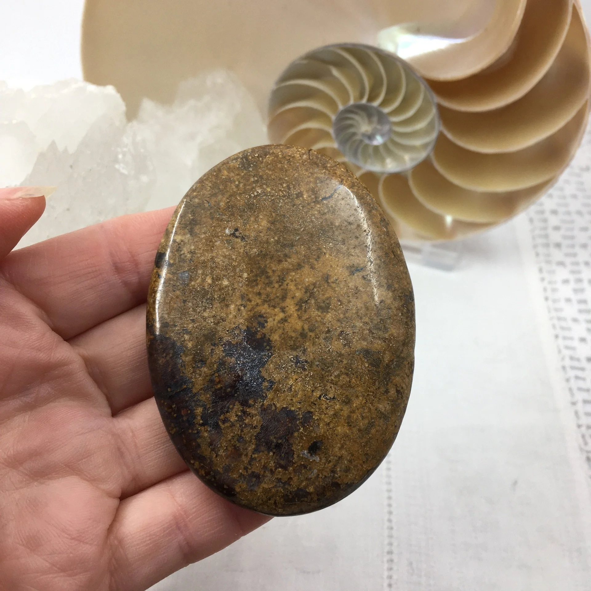 Pietersite palmstones 4.jpeg