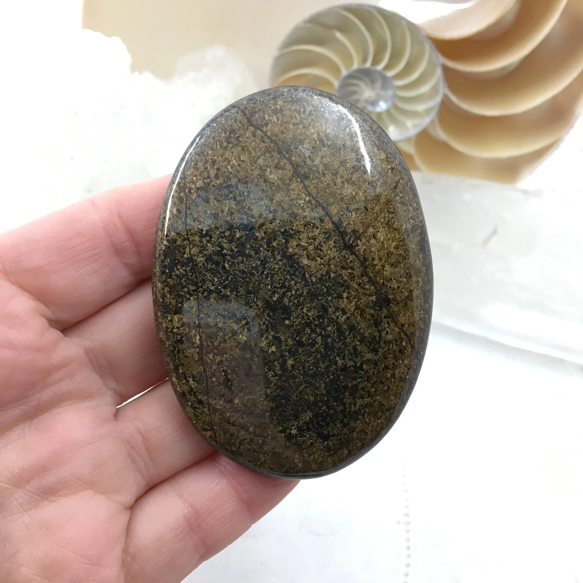 Bronzite Palm b.jpeg