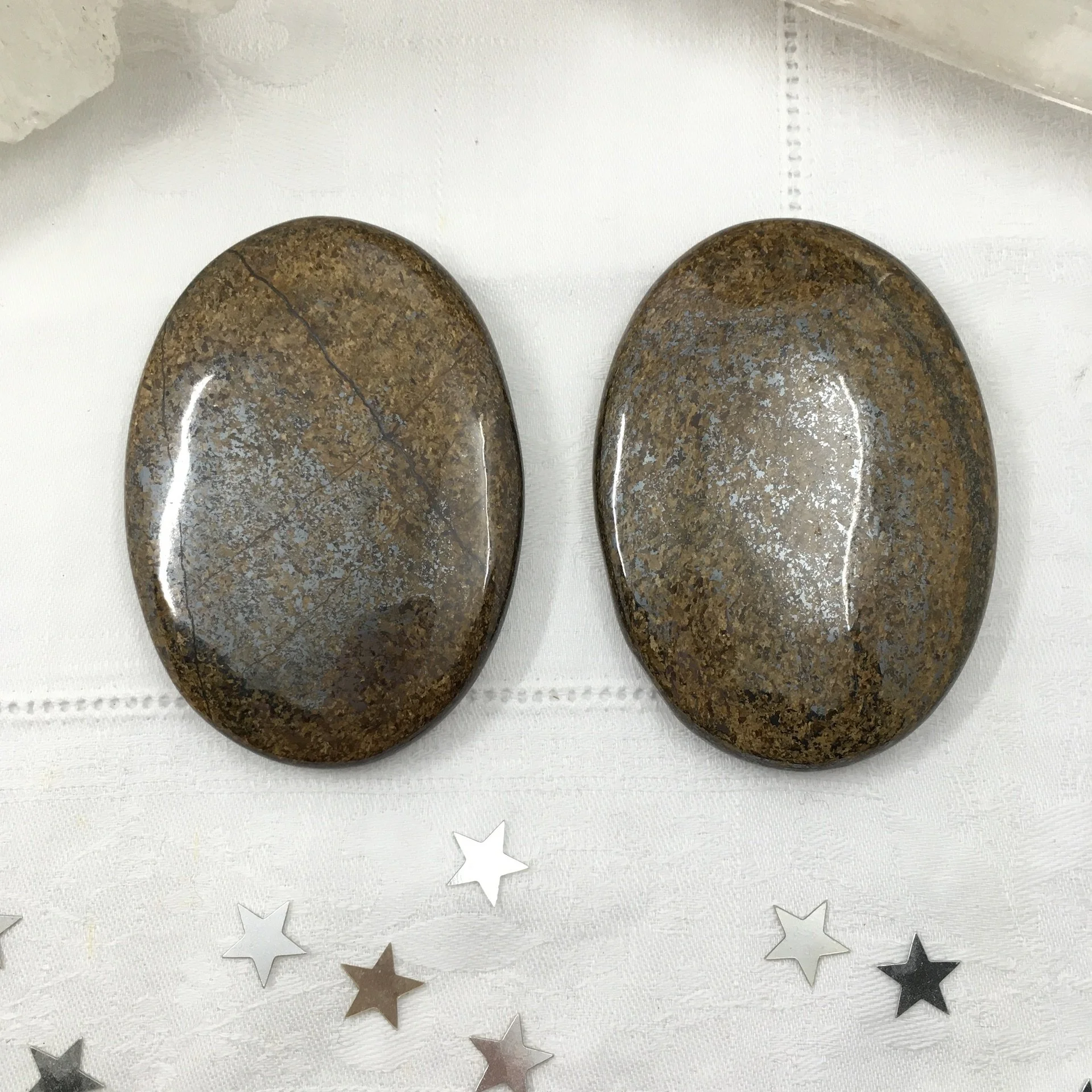 Bronzite Palm a.jpeg