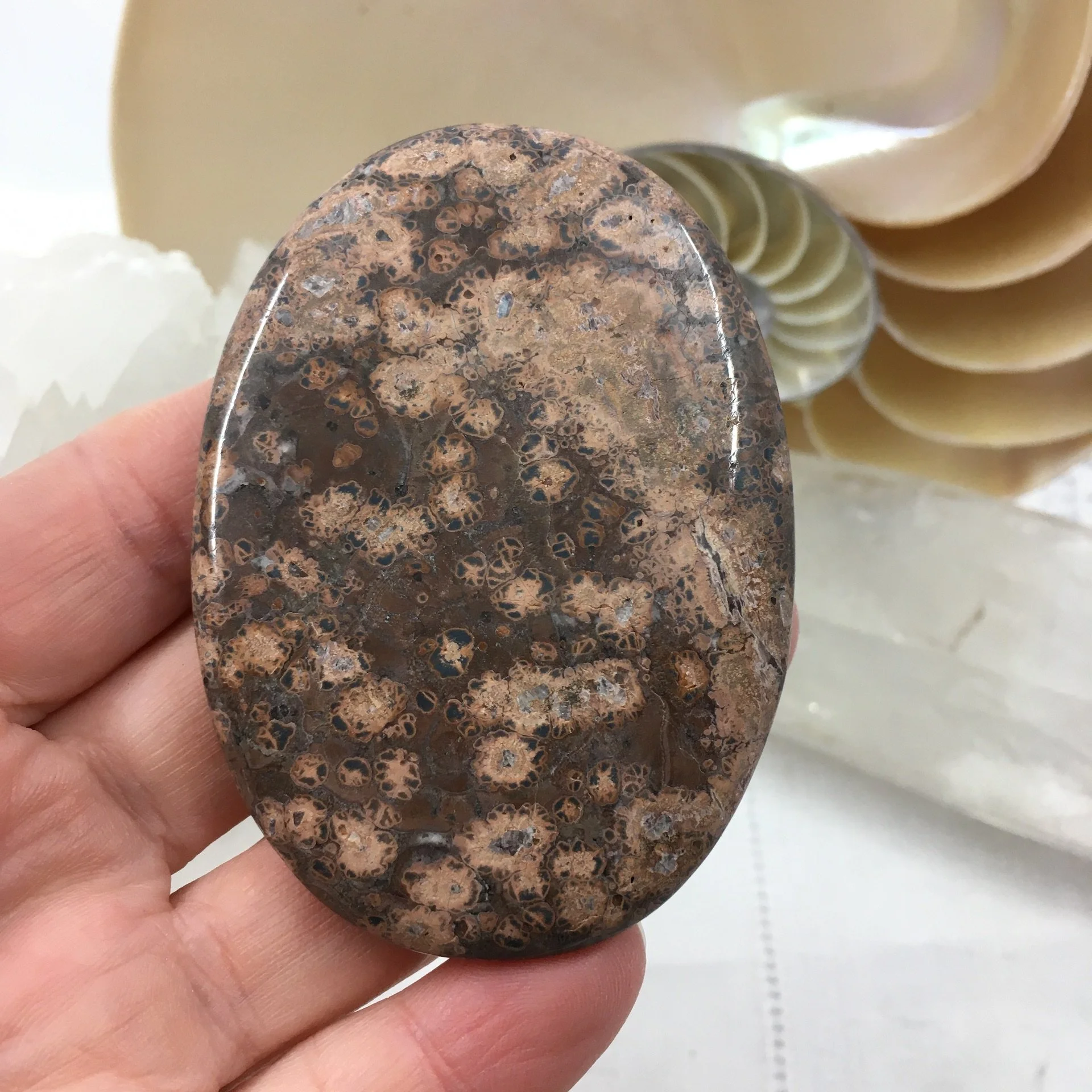 Leopardskin Jasper Palmstone 4.jpeg