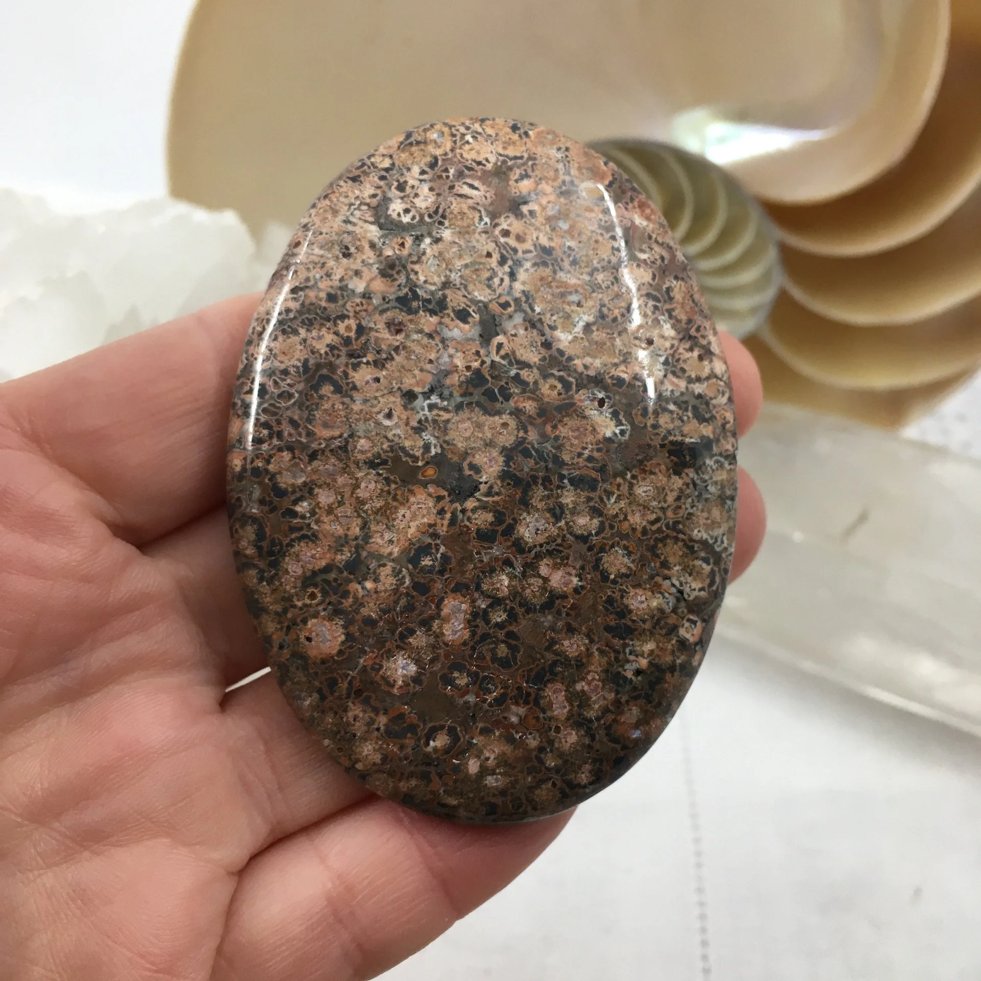 Leopardskin Jasper Palmstone 5.jpeg