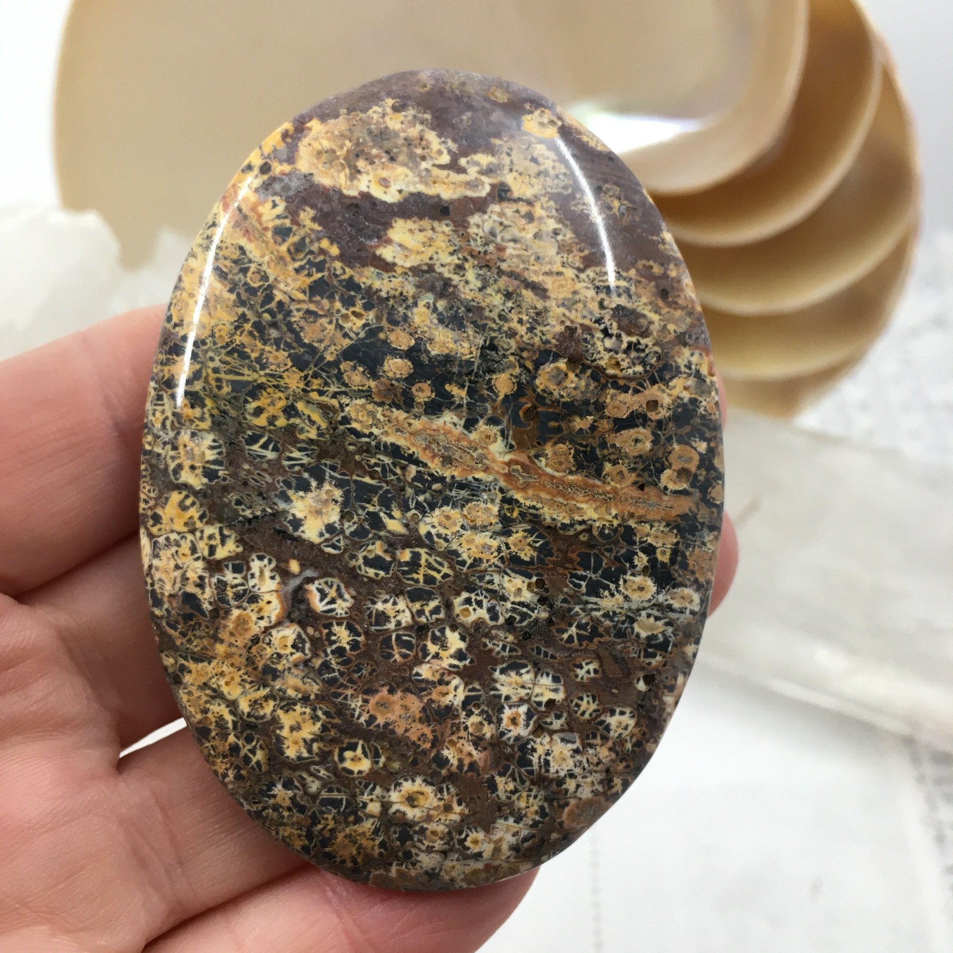 Leopardskin Jasper Palmstone 7.jpeg