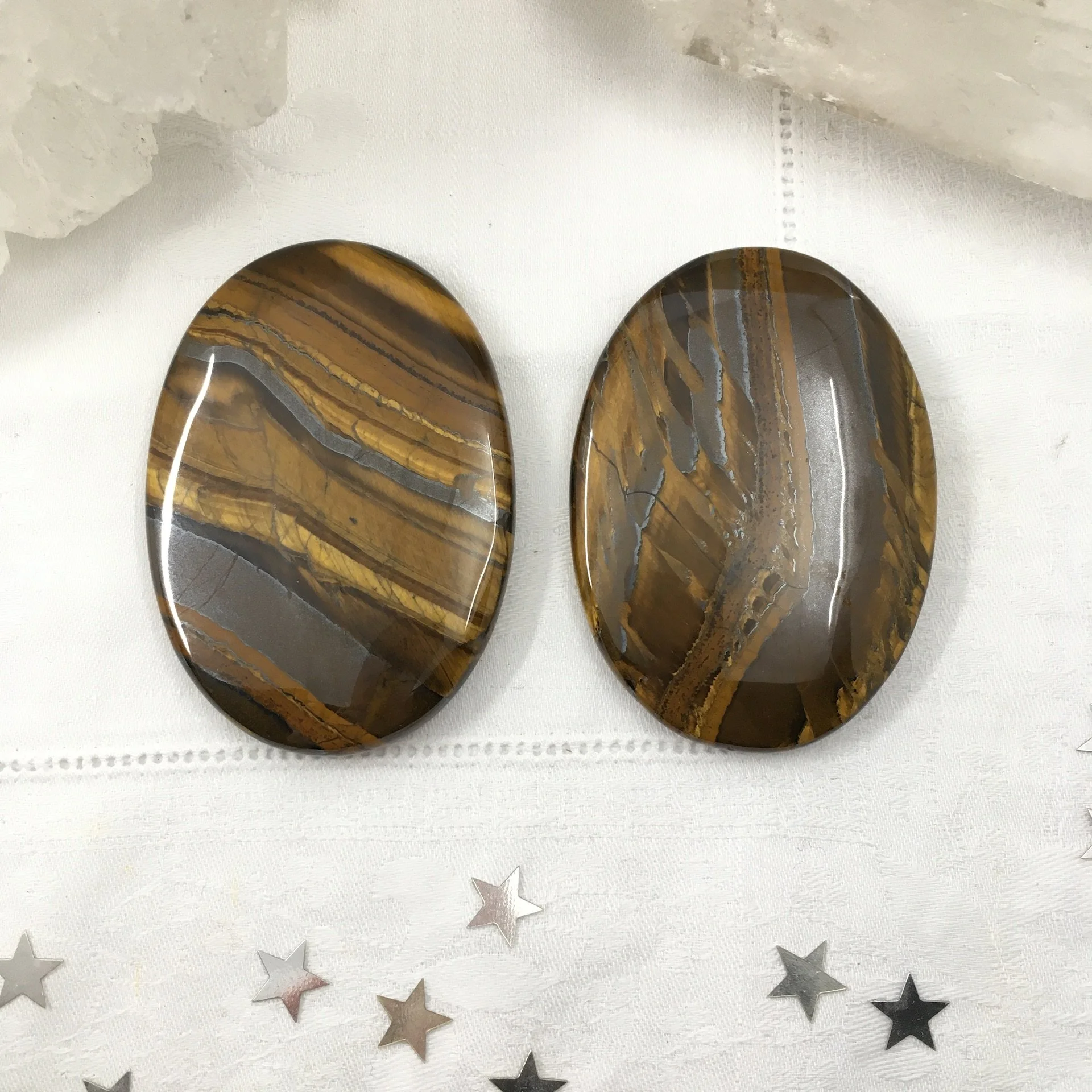 Tiger Eye Palm a.jpeg