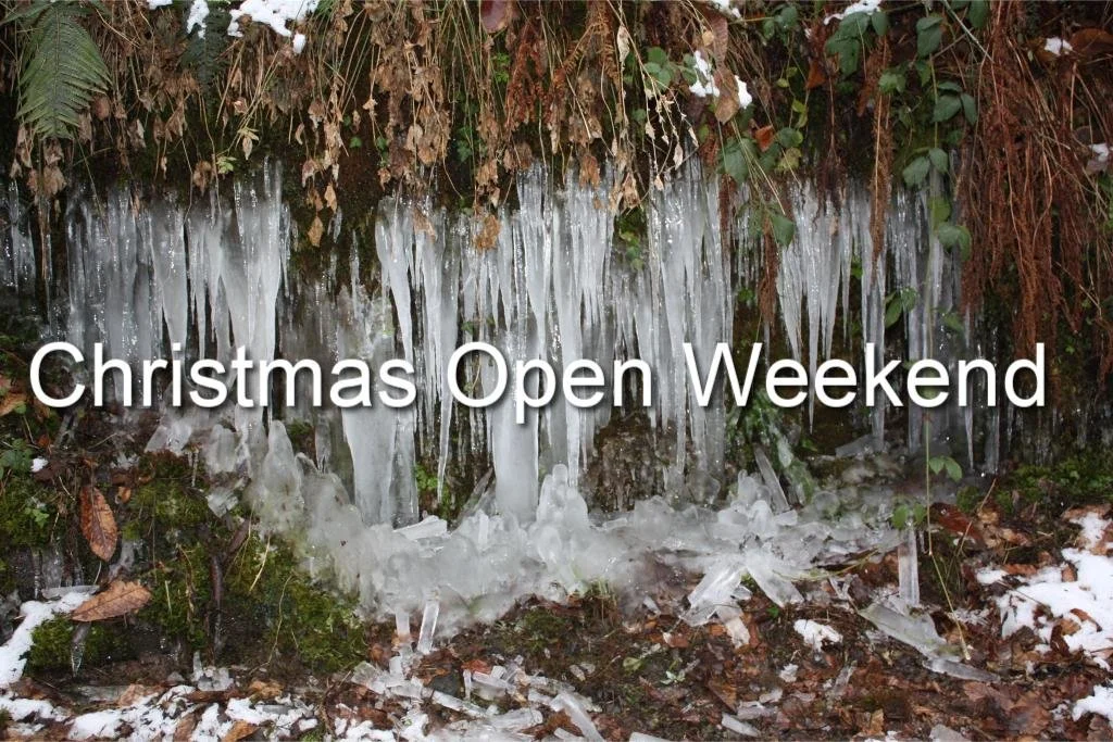Christmas Open Weekend at Sue's Crystal Barn