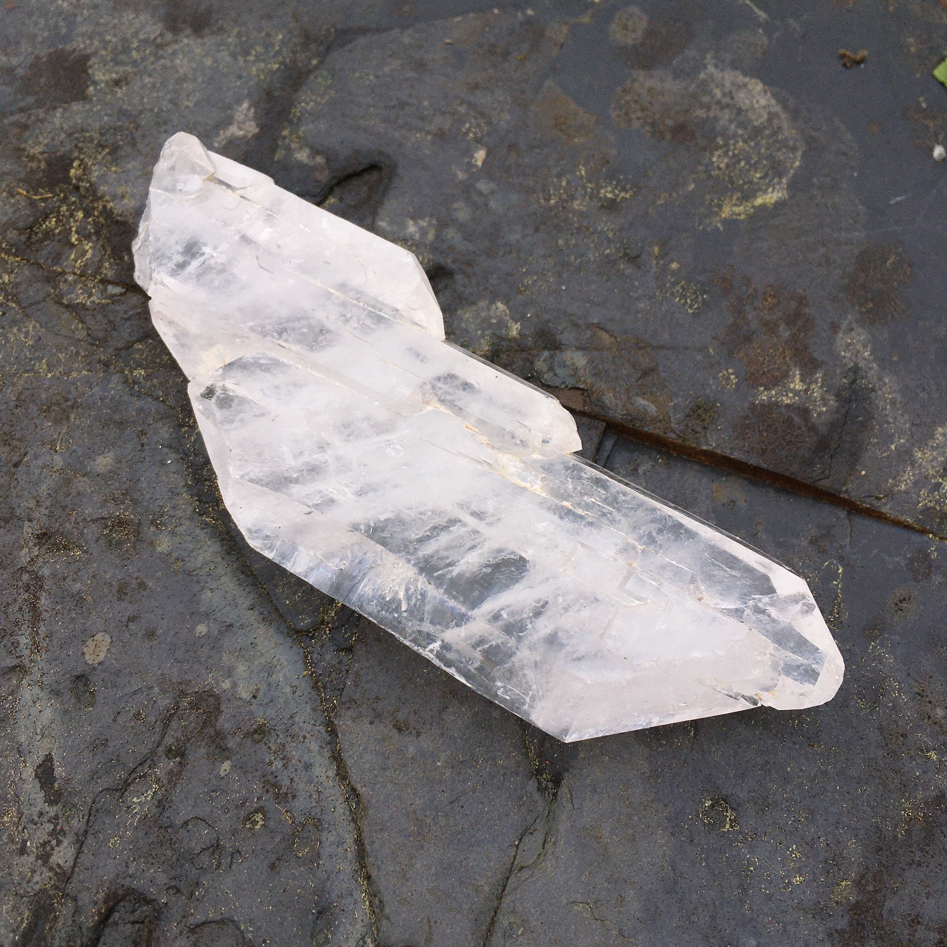 Faden Quartz 2b.jpeg