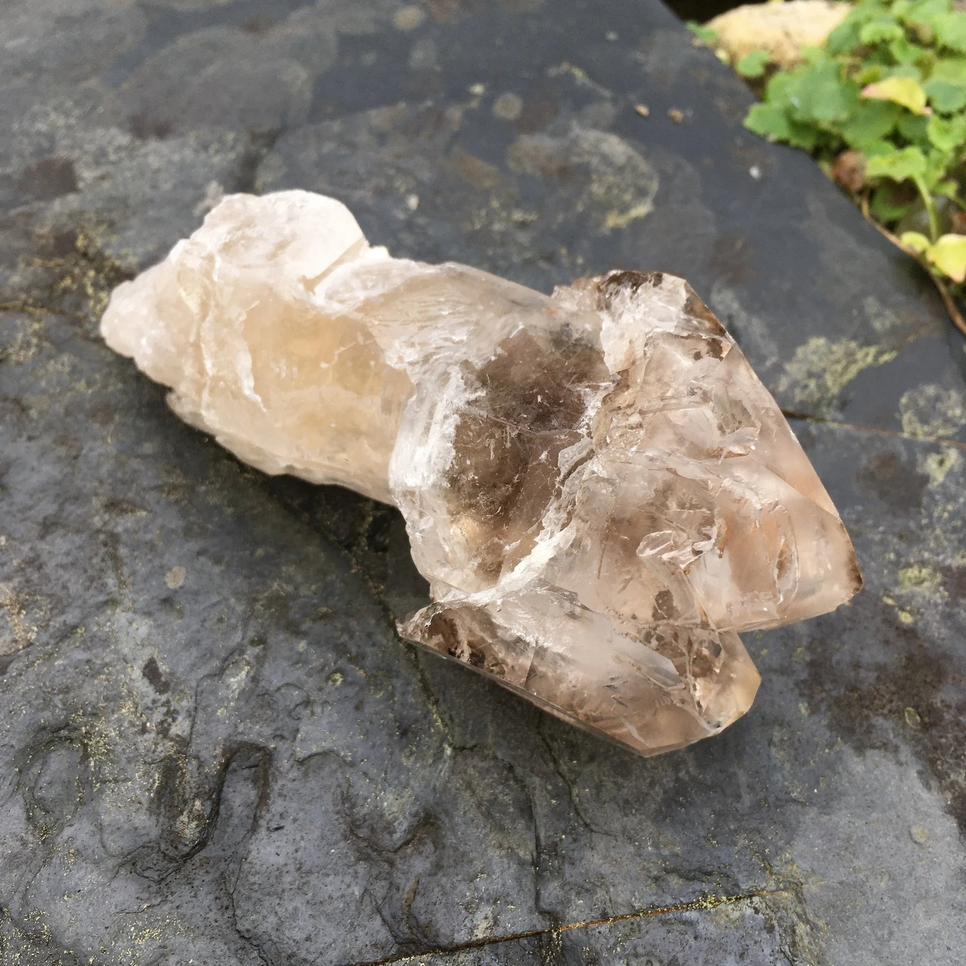 Elestial Sceptre 1a.jpeg