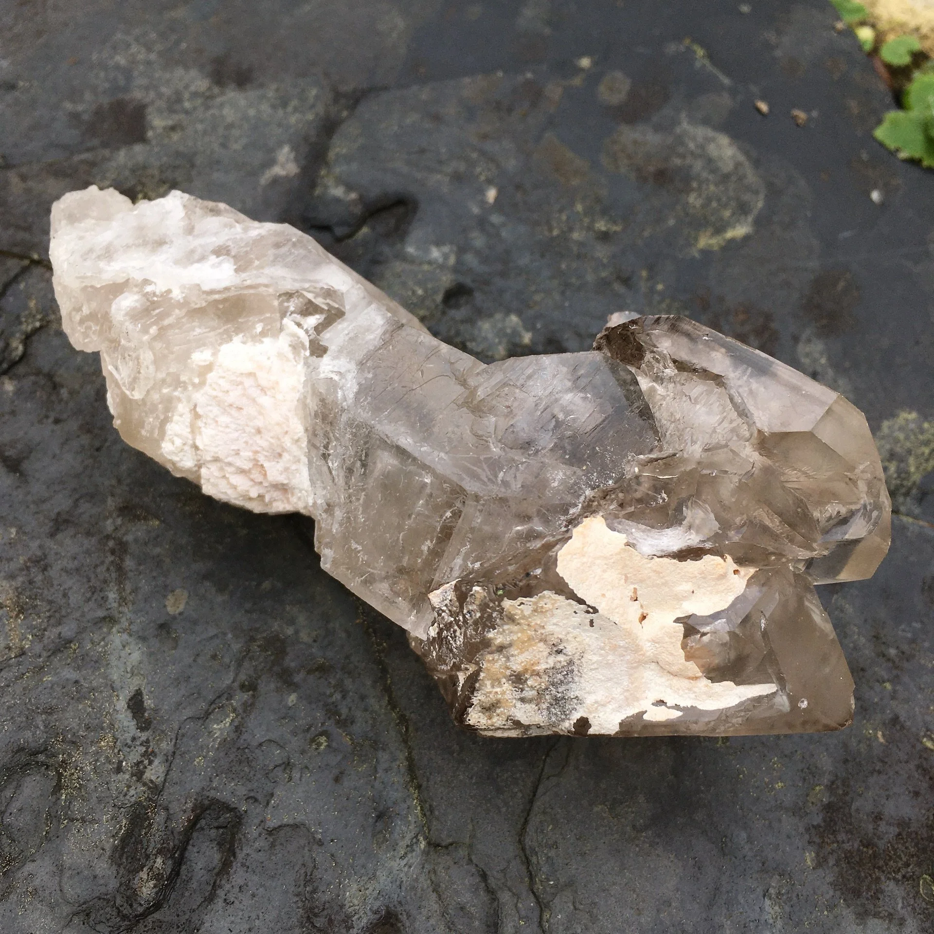 Elestial Sceptre 1c.jpeg