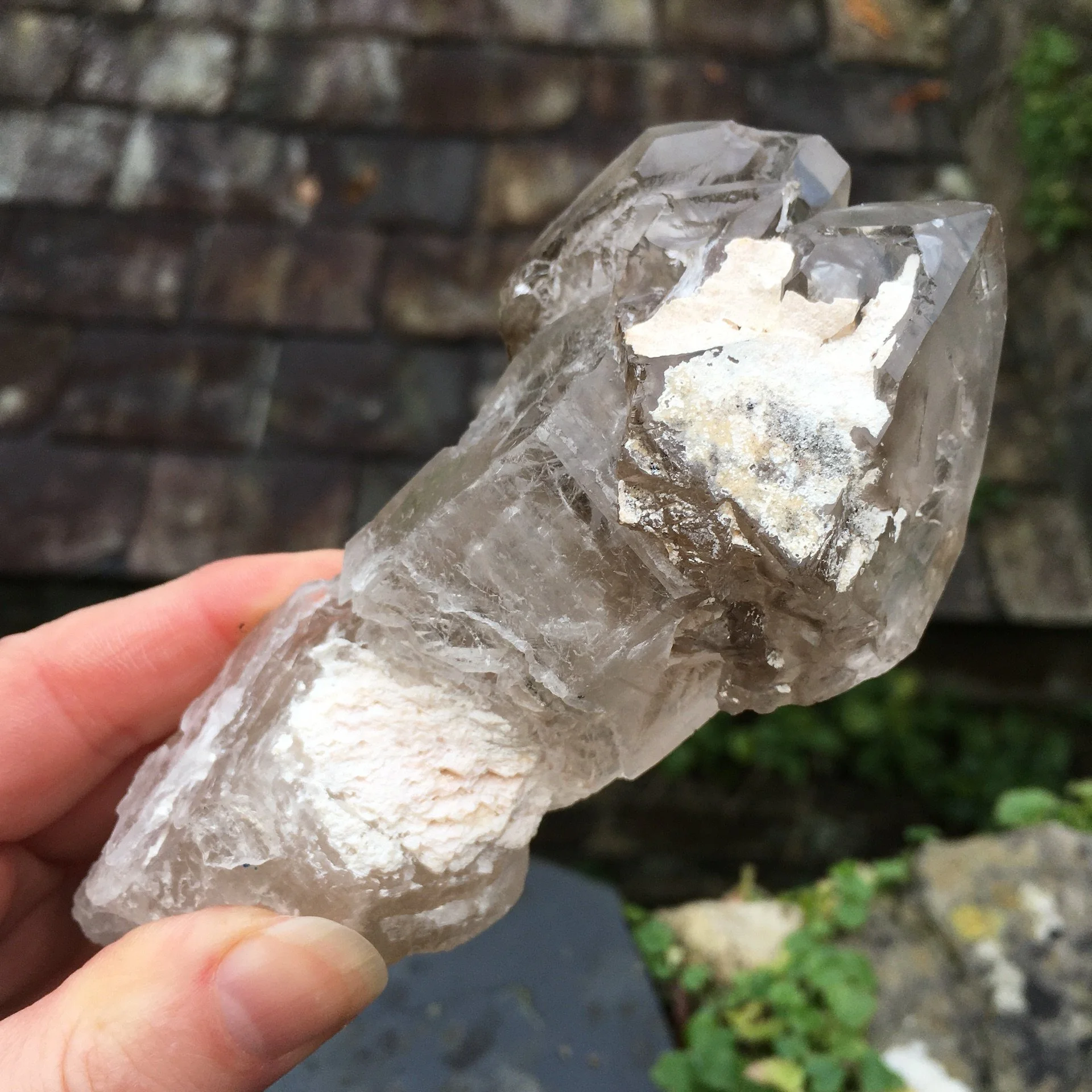 Elestial Sceptre 1h.jpeg