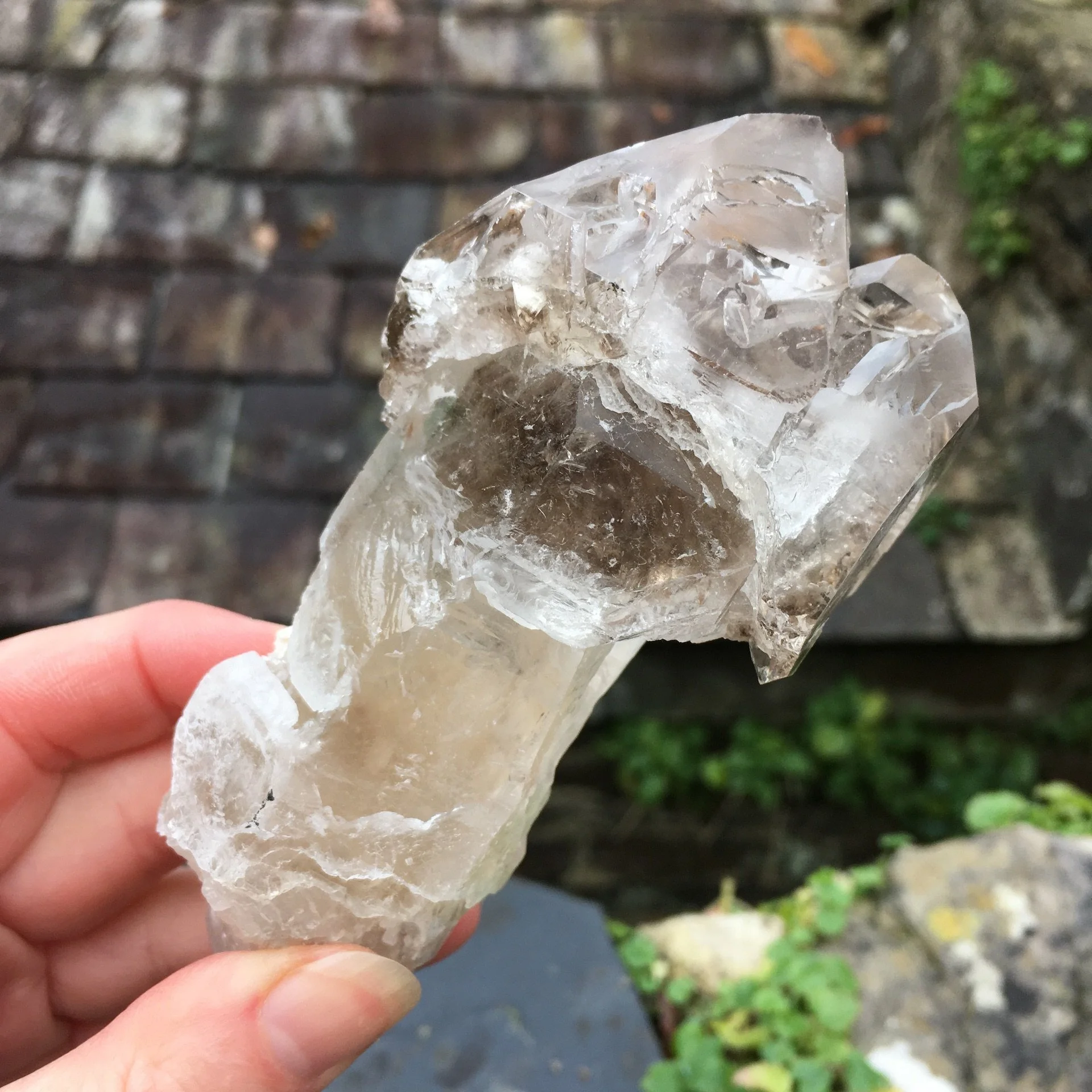 Smoky Quartz Elestial Sceptre 1 *