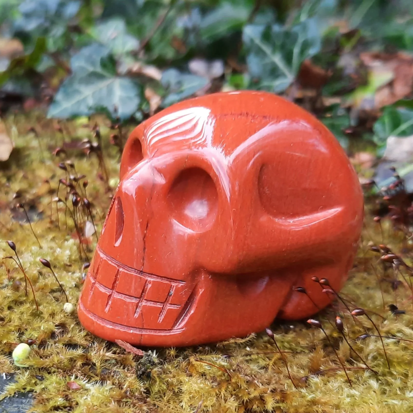 Red Jasper Skull a.jpeg