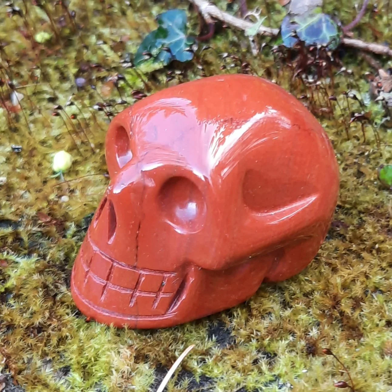 Red Jasper Skull b.jpeg