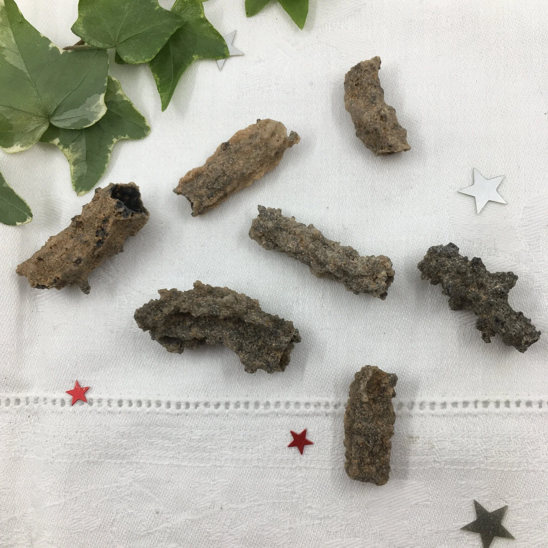 Fulgurite a.jpeg