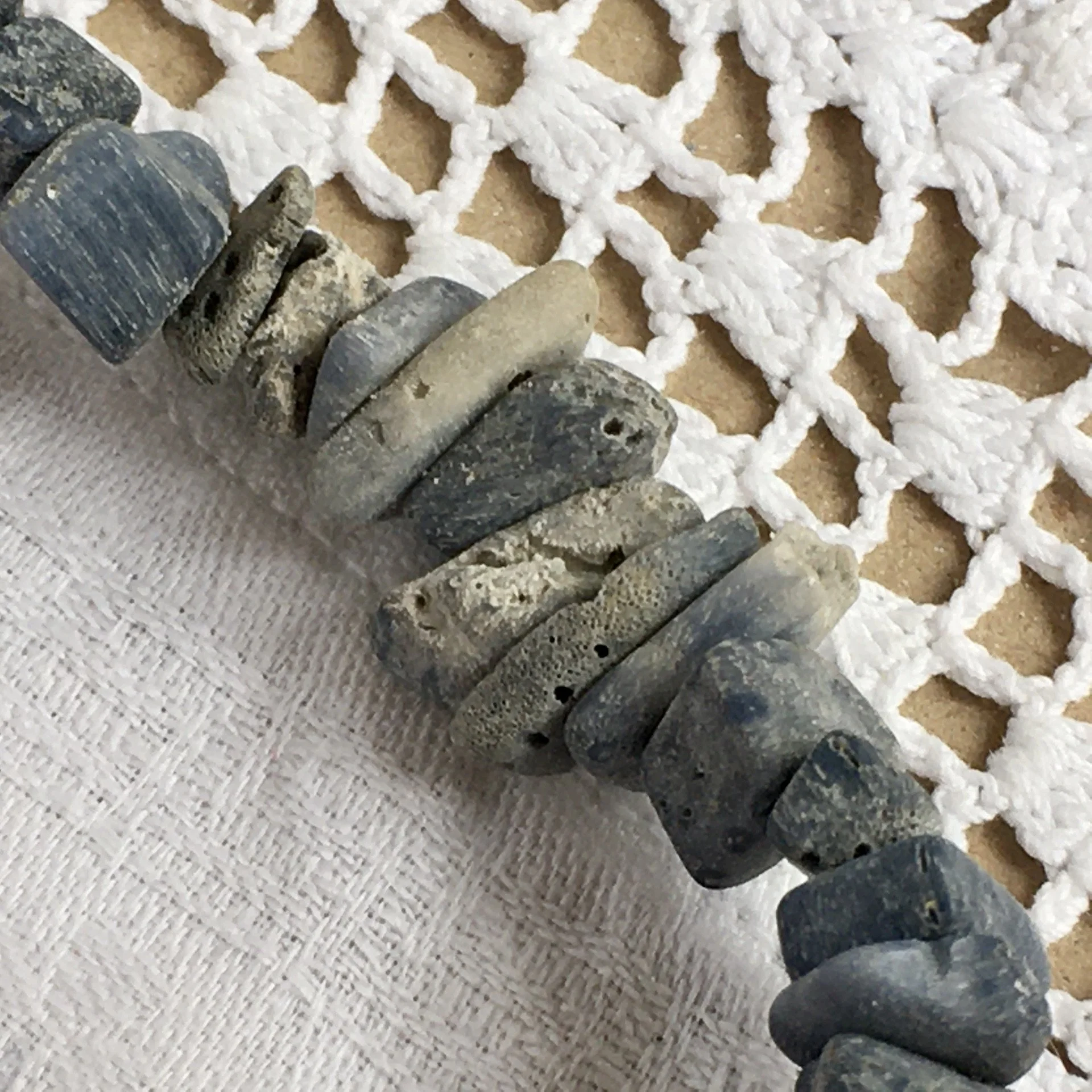 Blue Coral gemchip c.jpeg