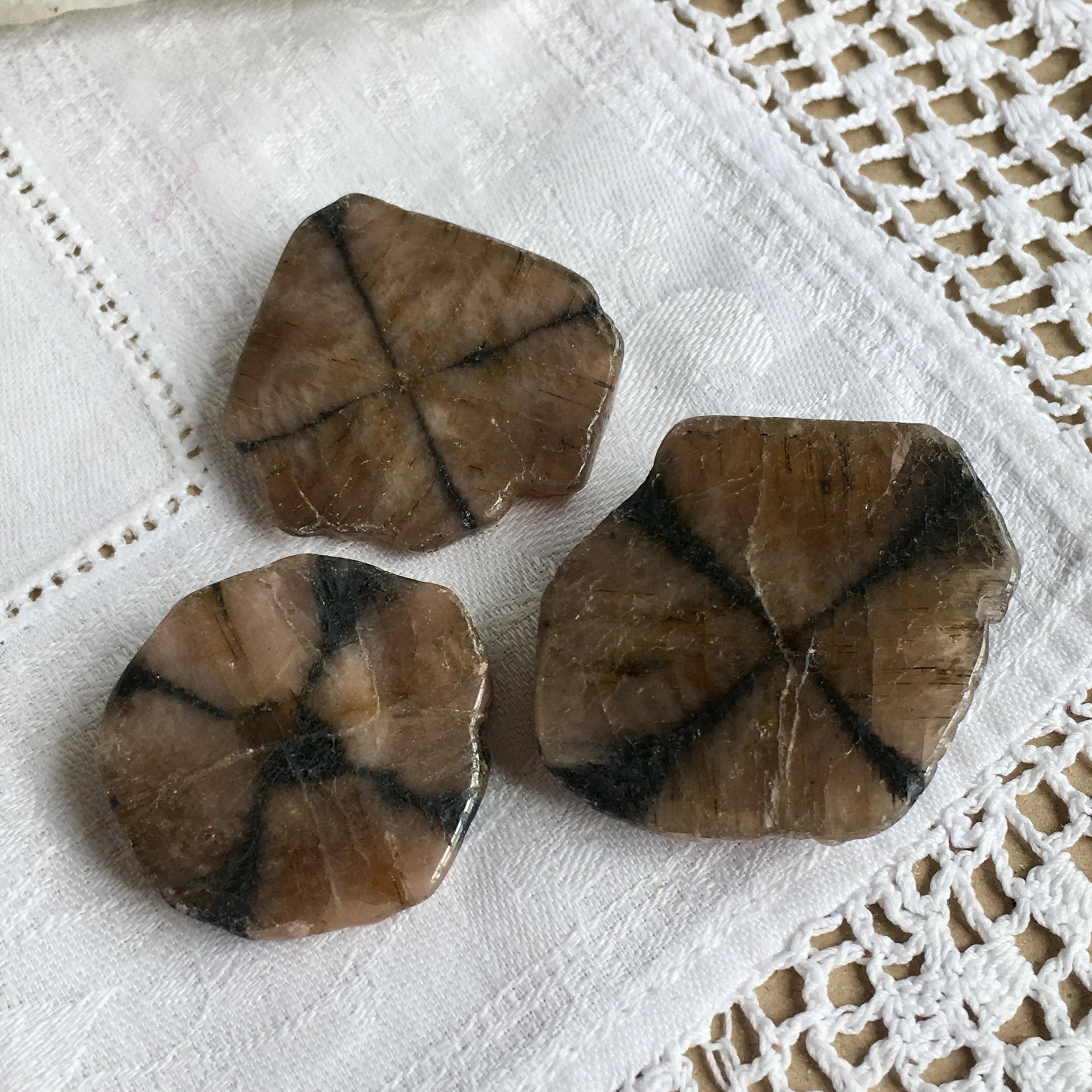 Chiastolite 4,5,6 a.jpeg