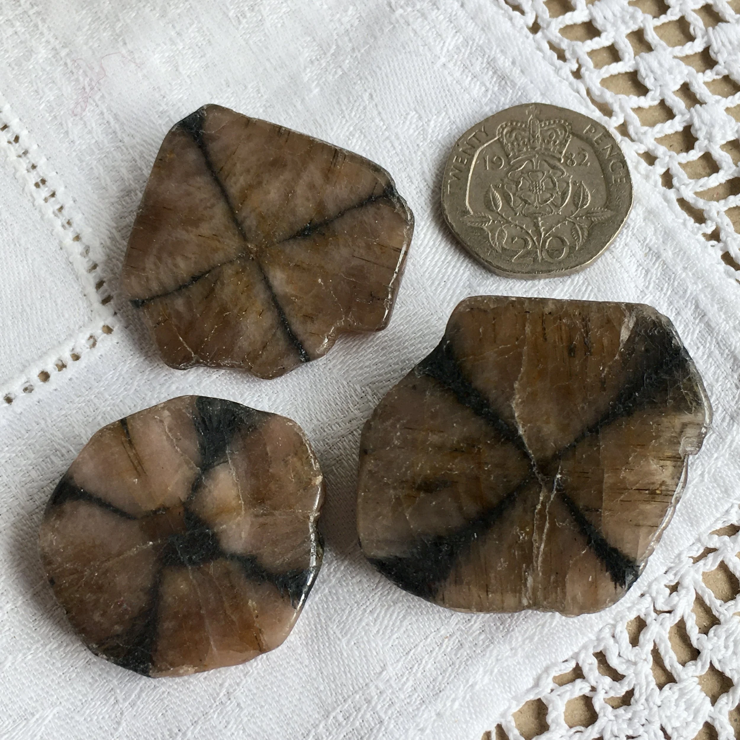 Chiastolite 4,5,6 b.jpeg