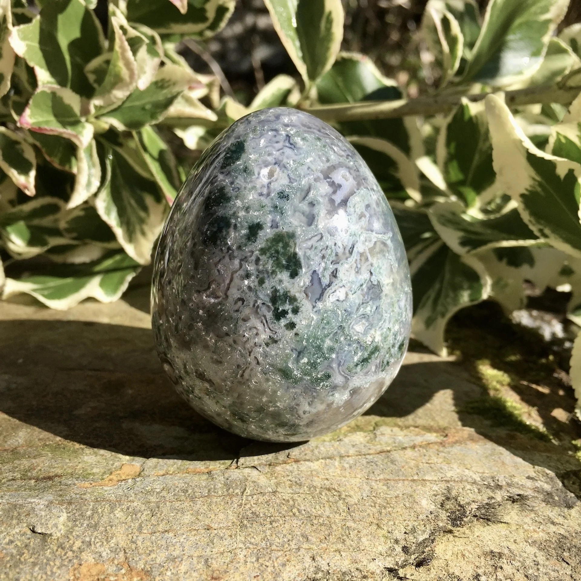 Moss Agate Egg 2a.jpeg