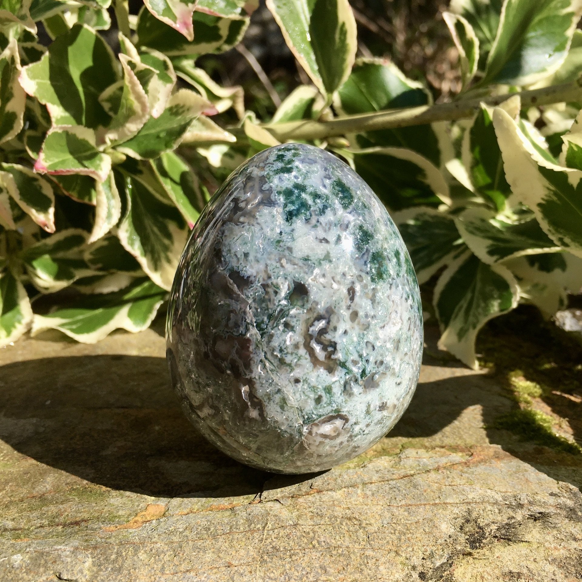 Moss Agate Egg 2c.jpeg