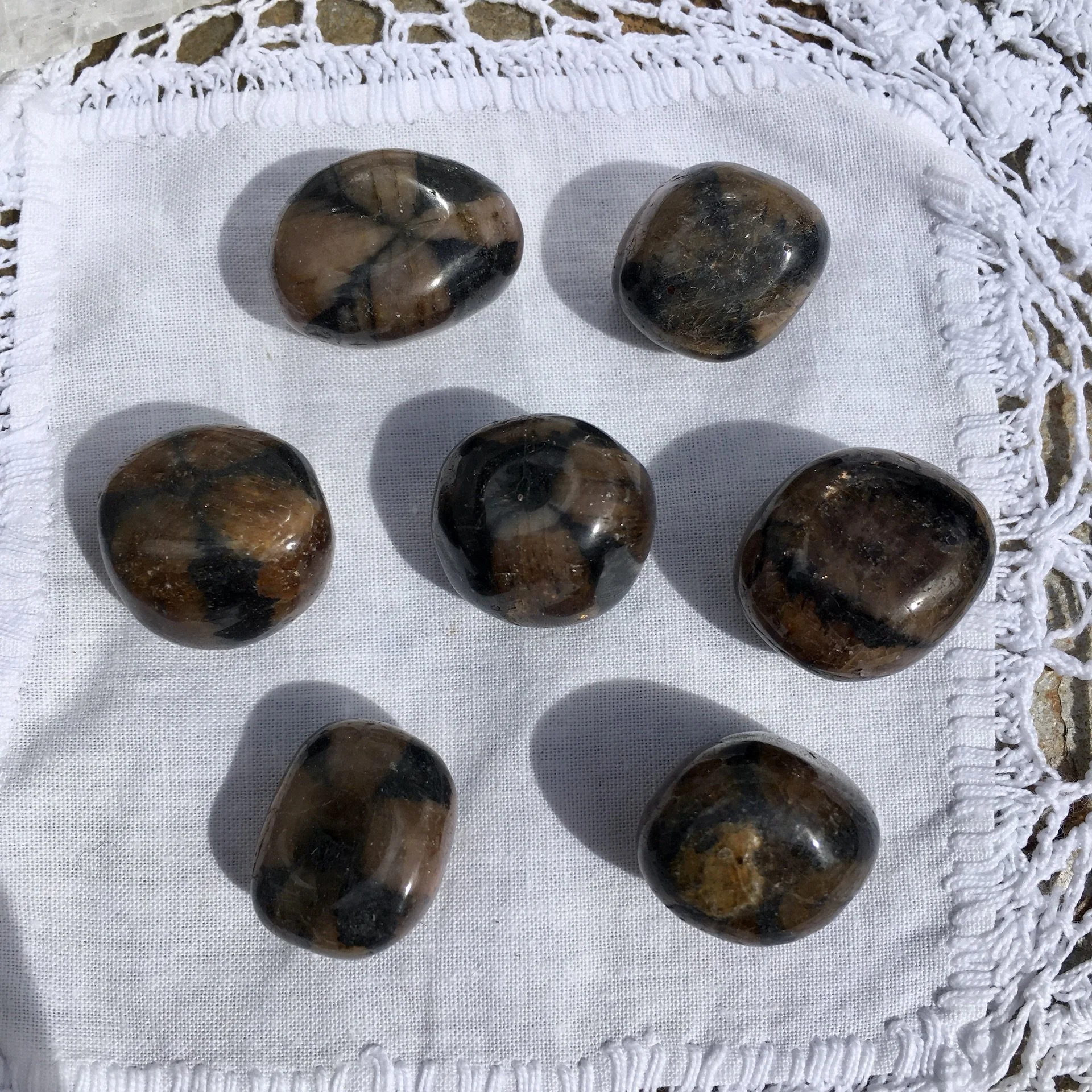 Chiastolite TS a.jpeg