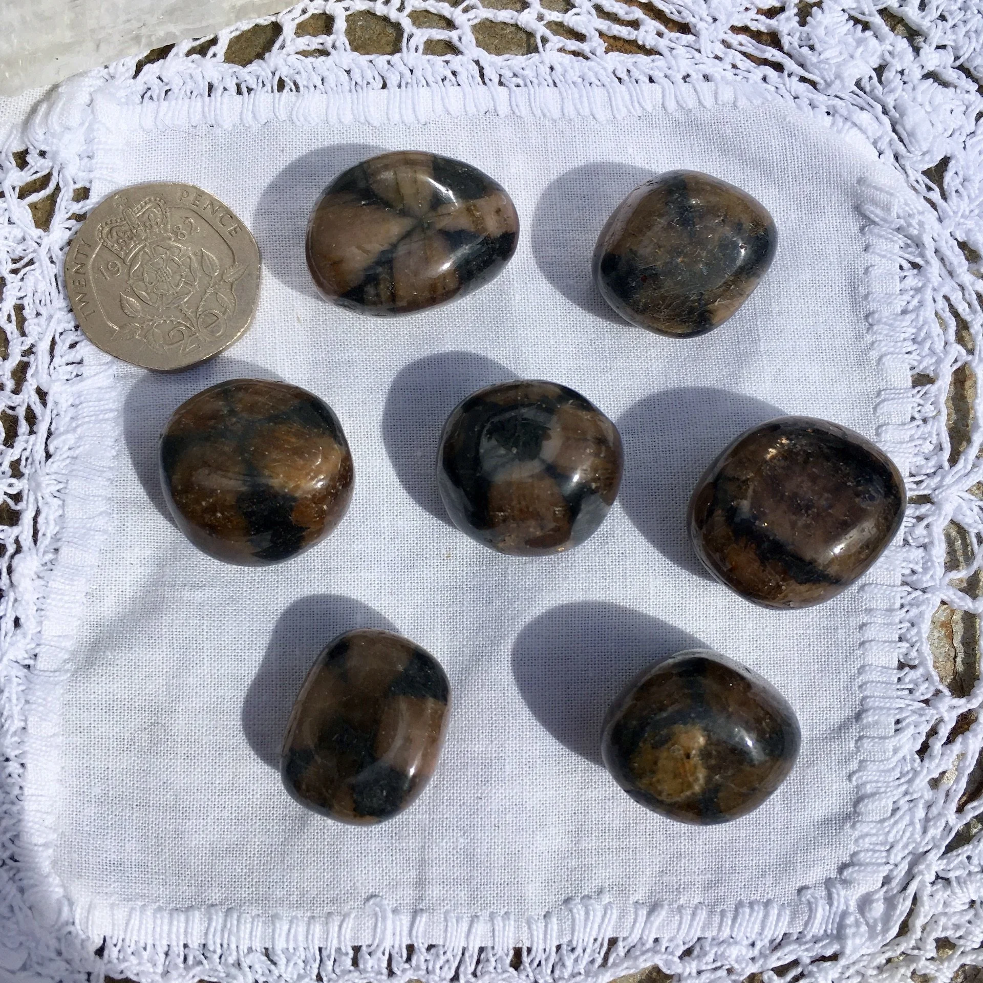 Chiastolite TS b.jpeg