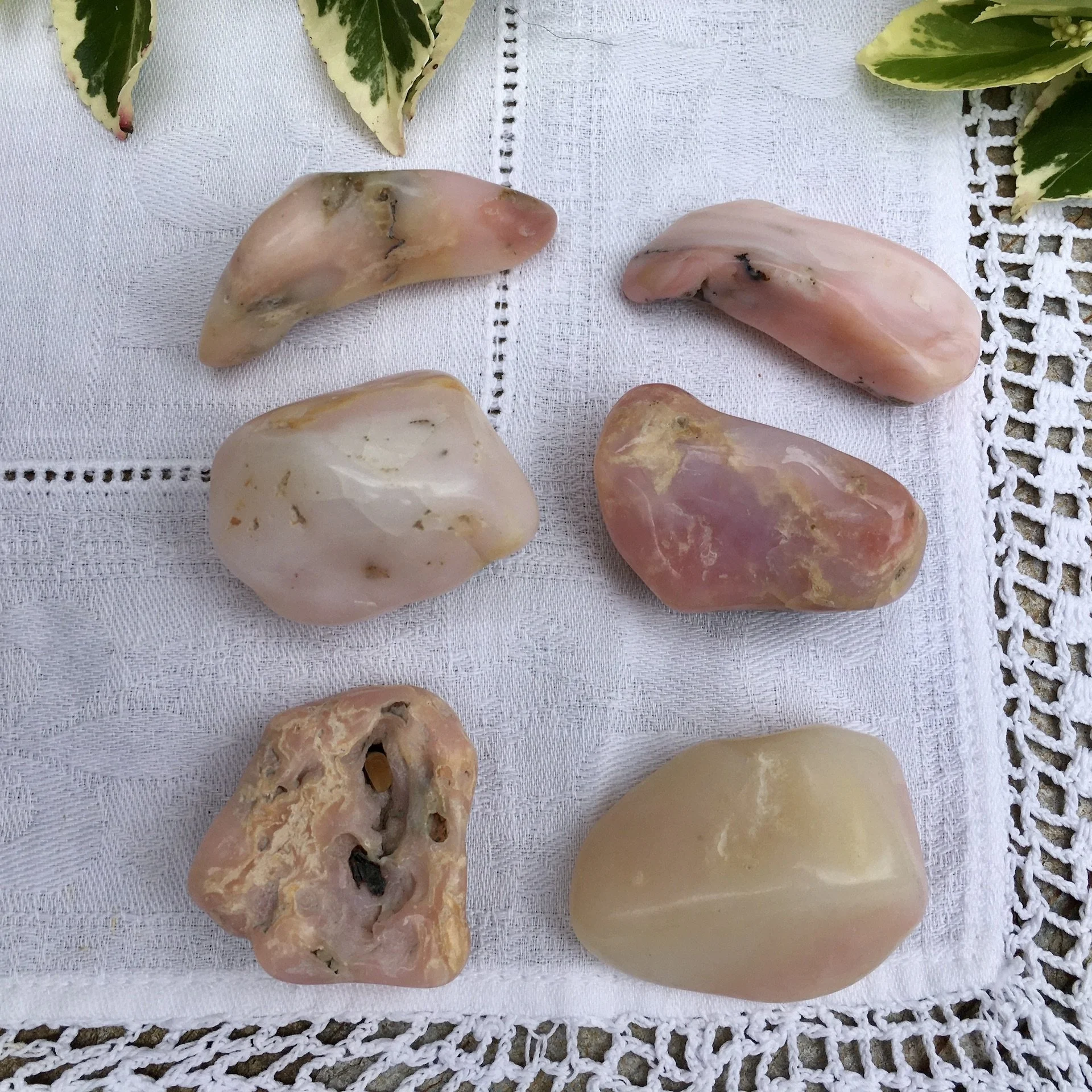 Rose Opal 10-15.jpeg