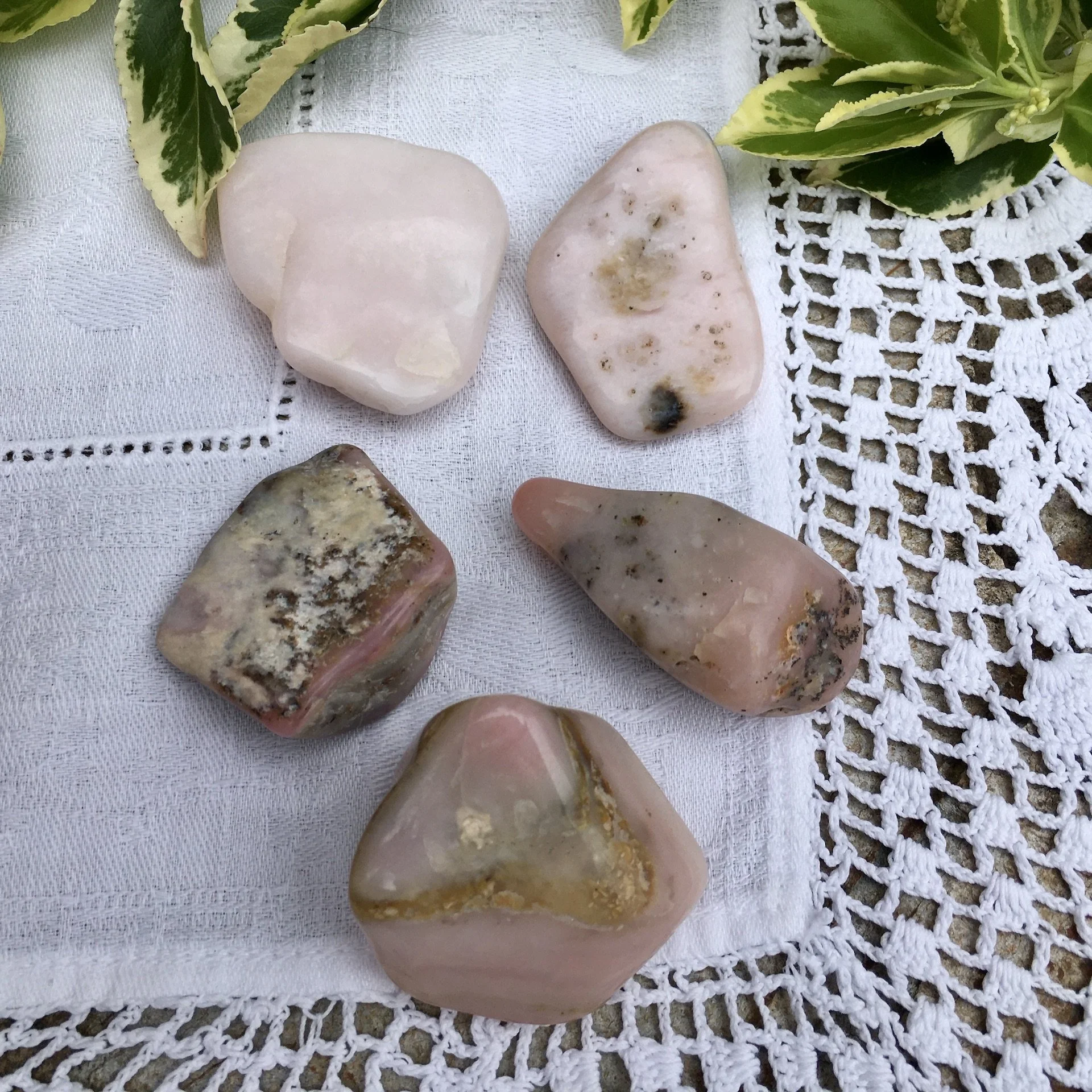 Rose Opal 16-20.jpeg