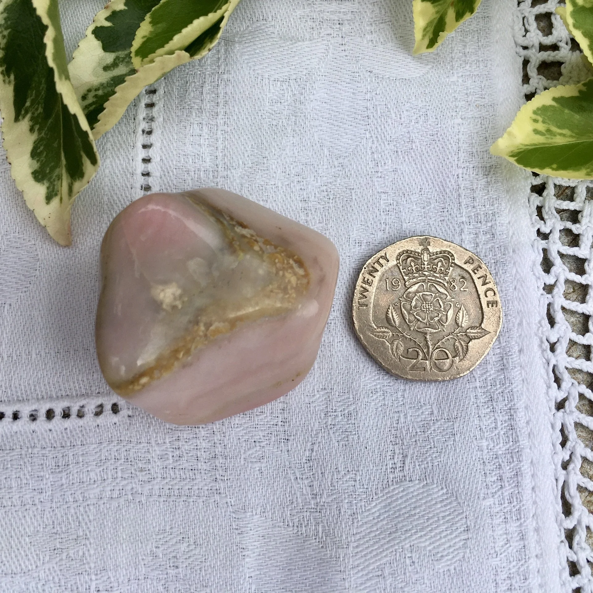 Rose Opal 20.jpeg