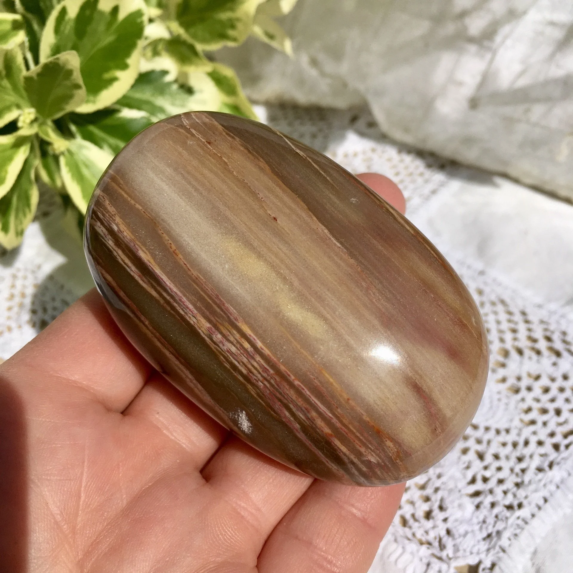 Pet wood pebble 12c.jpeg