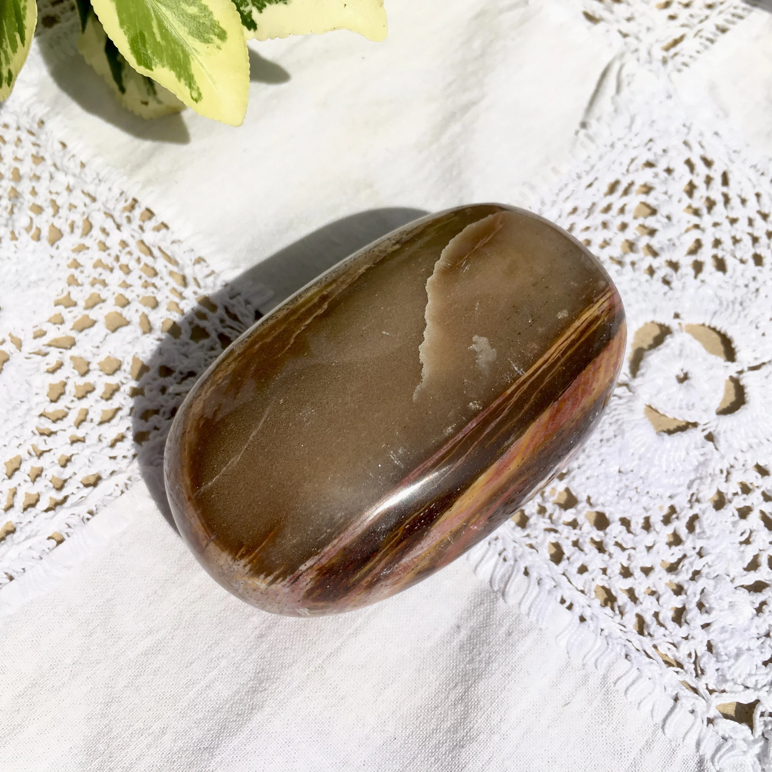 Pet wood pebble 12b.jpeg