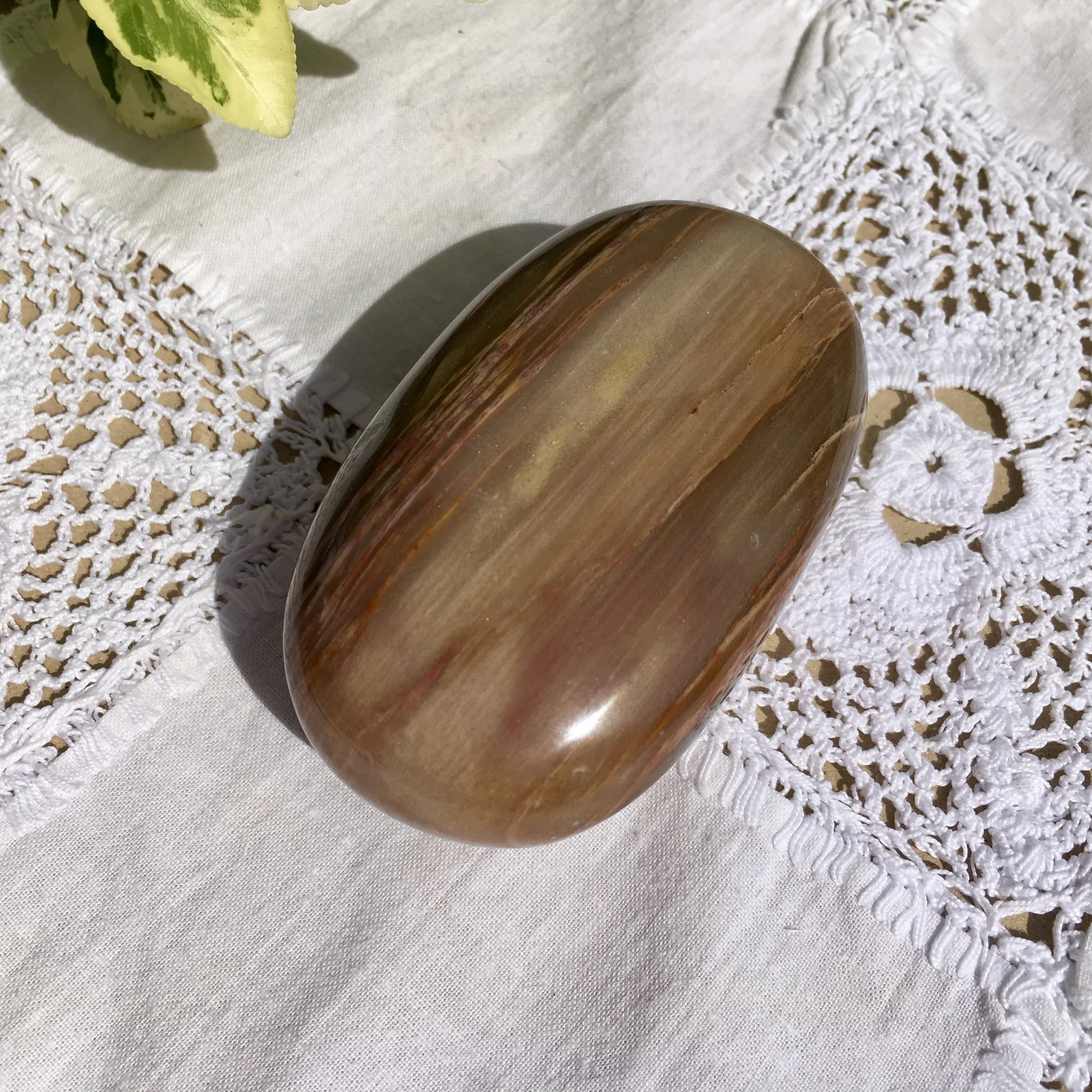 Pet wood pebble 12a.jpeg