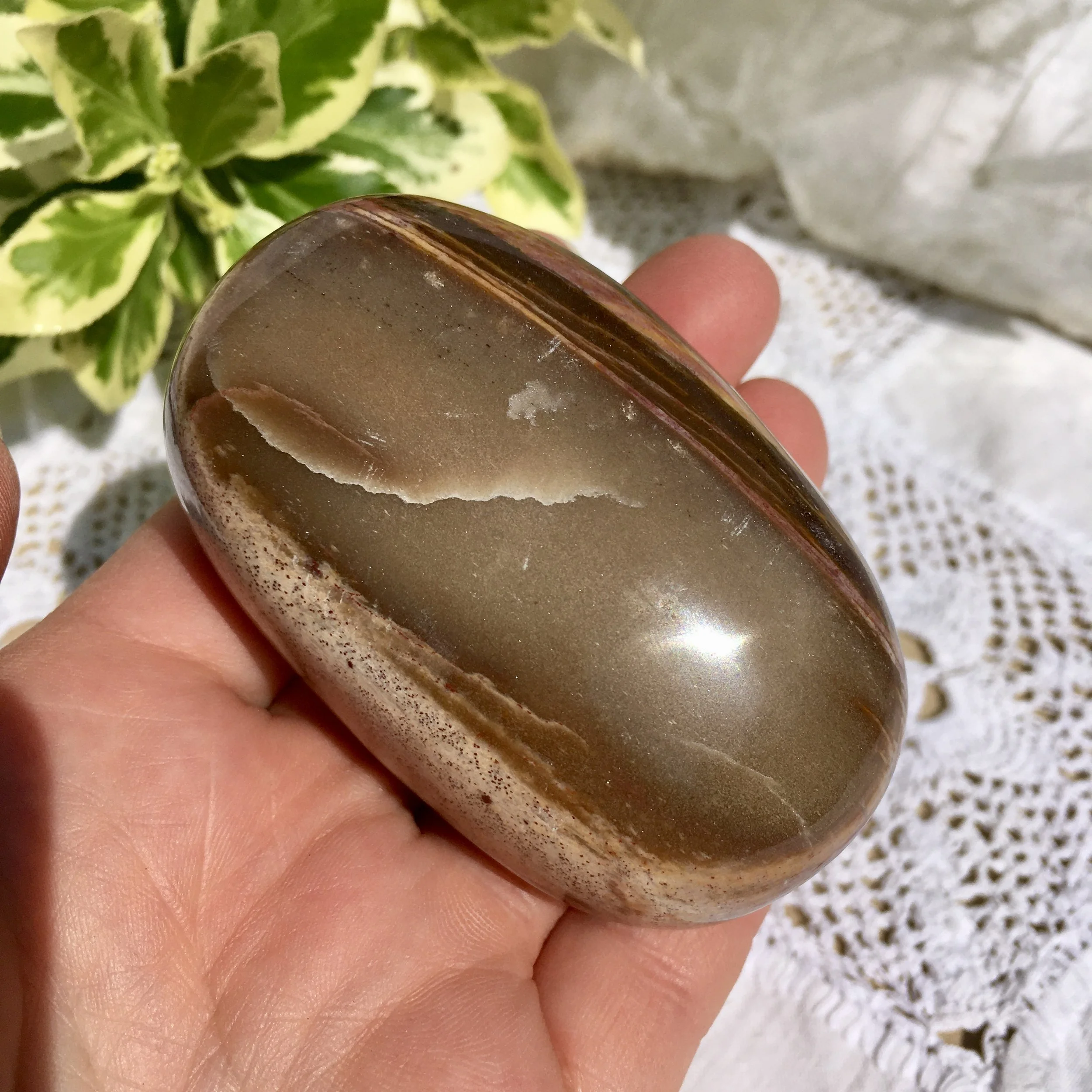 Pet wood pebble 12d.jpeg