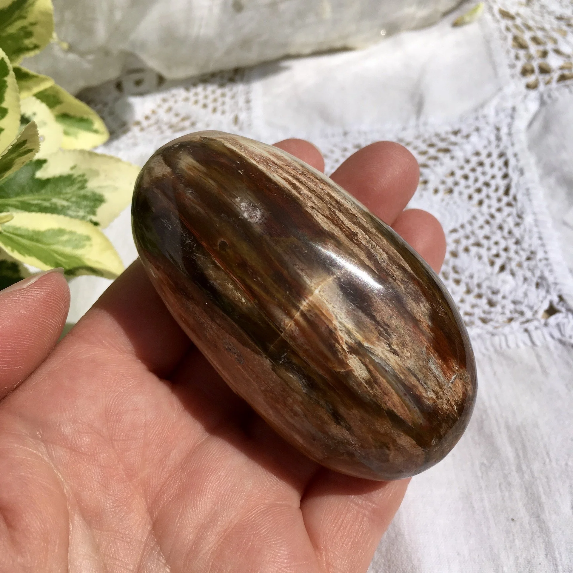 Pet wood pebble 13c.jpeg