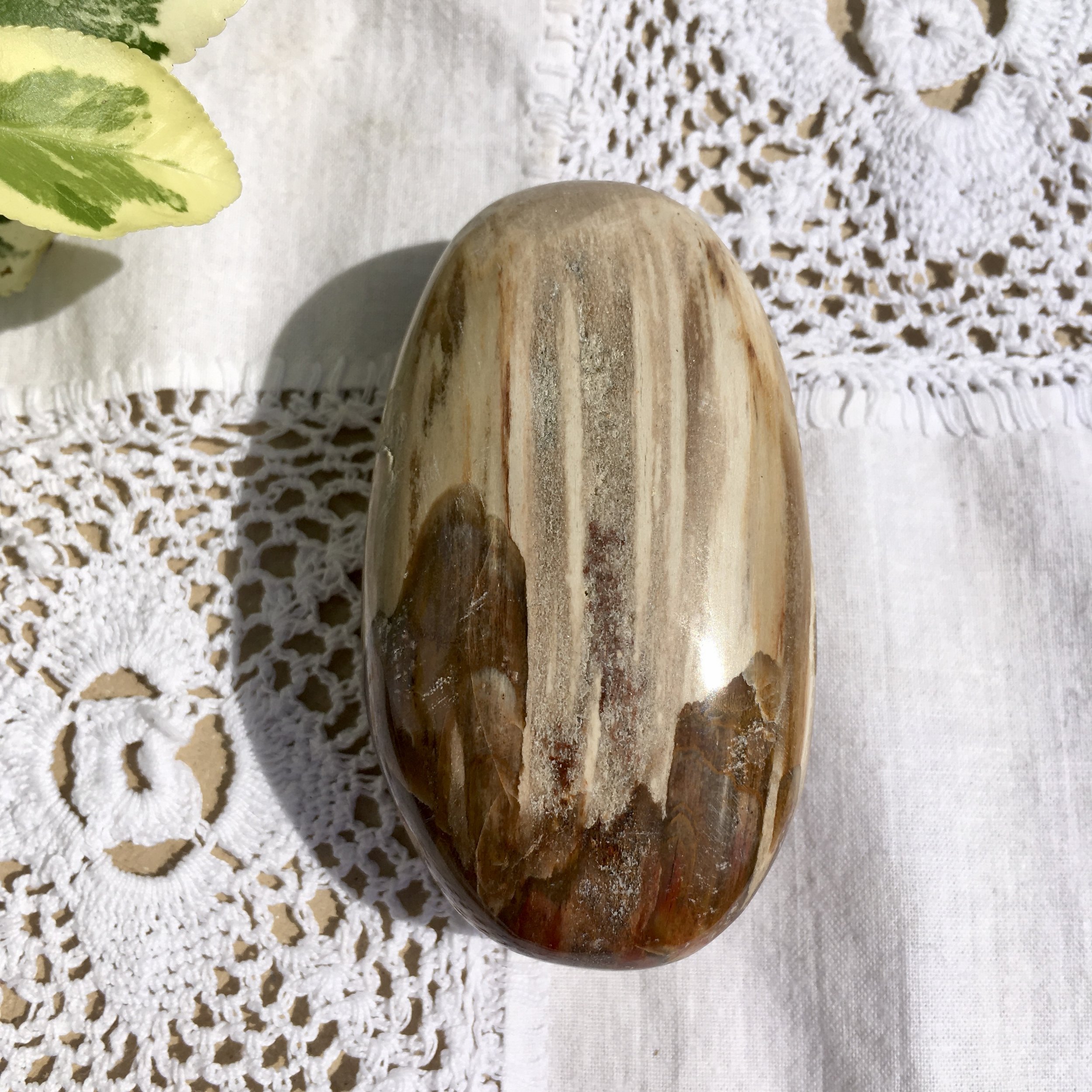 Pet wood pebble 13b.jpeg