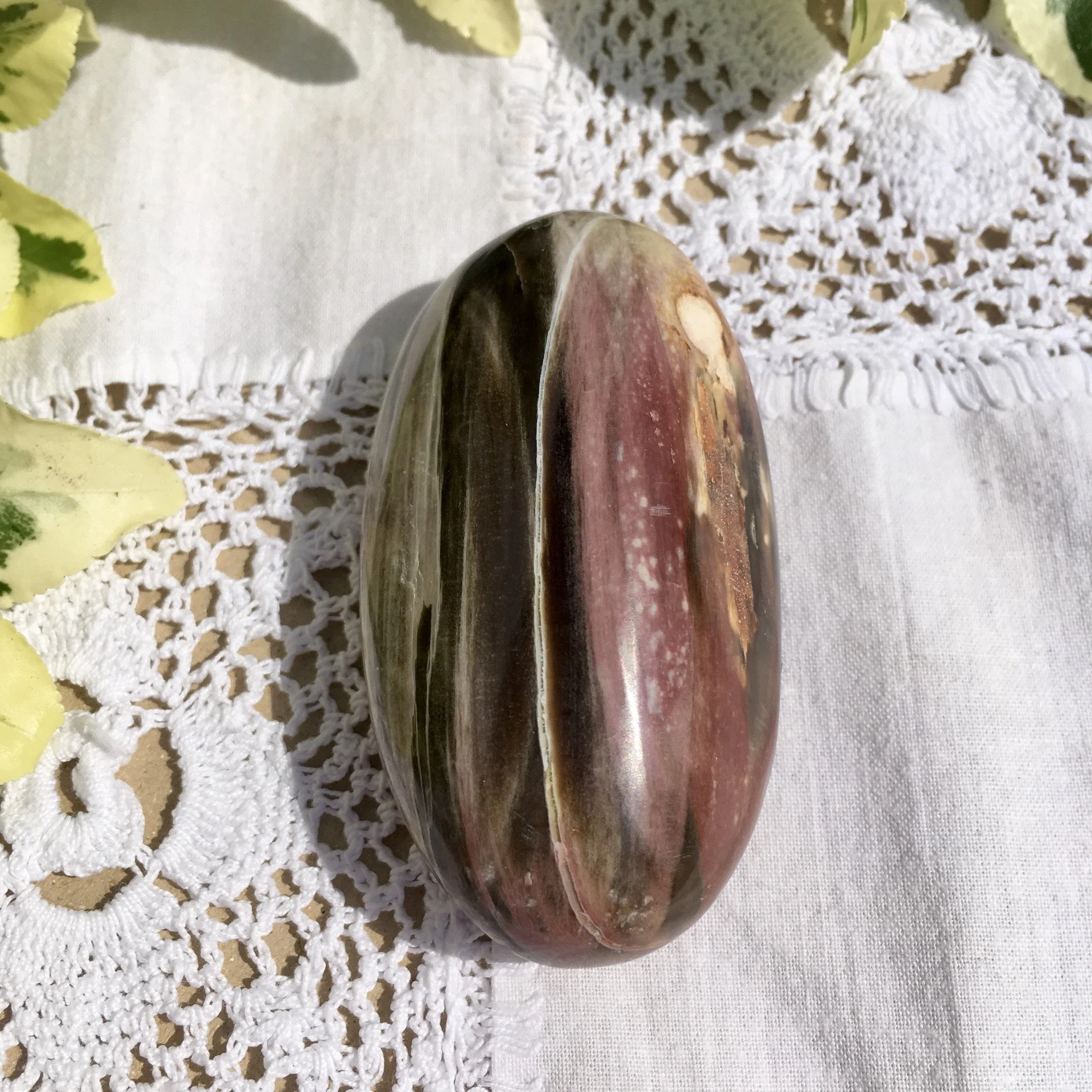 Pet wood pebble 14a.jpeg