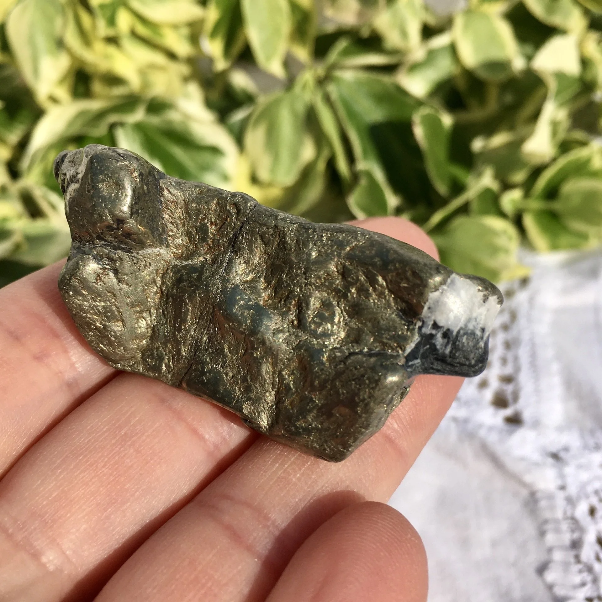 Pyrite Magnetite natural 7c.jpeg