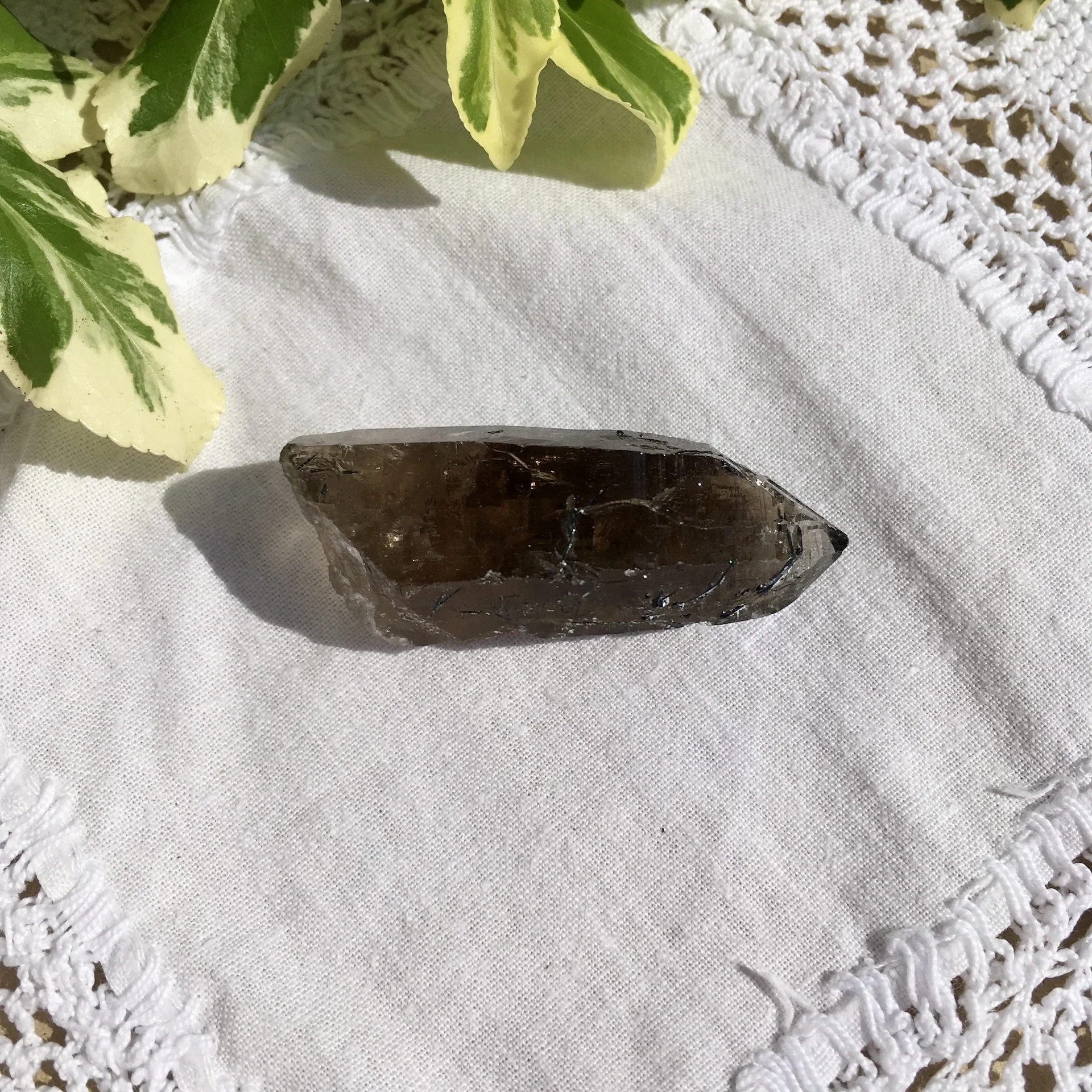 Vietnamese Smoky 8a.jpeg