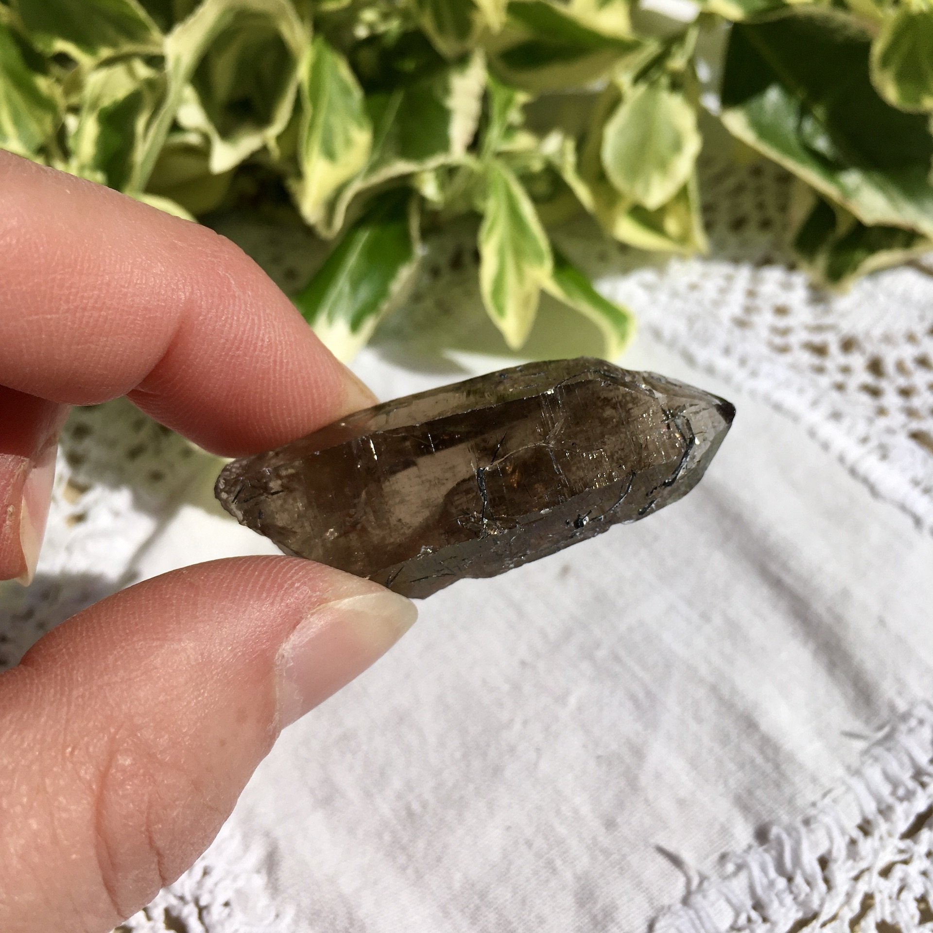 Vietnamese Smoky 8d.jpeg