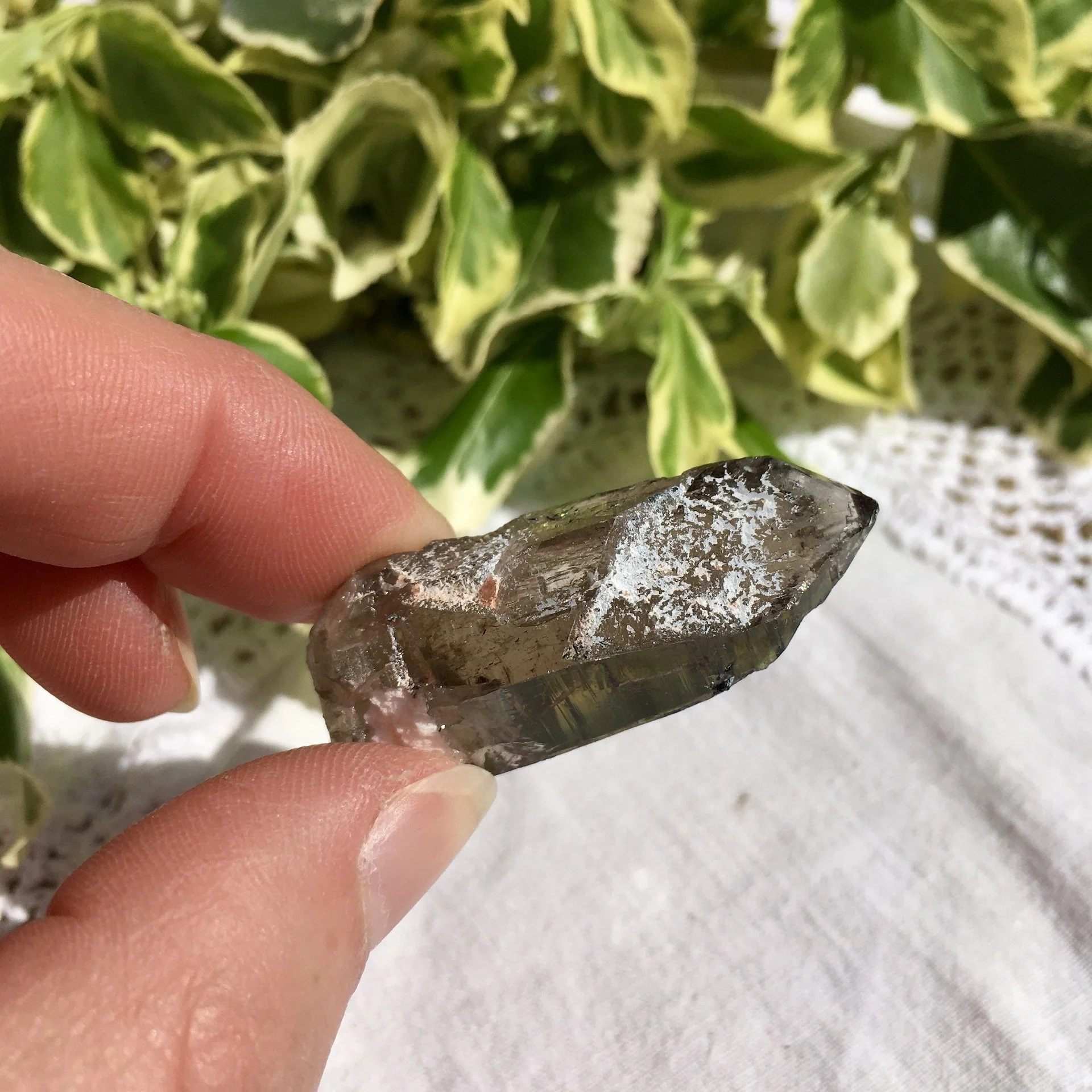 Vietnamese Smoky 8e.jpeg