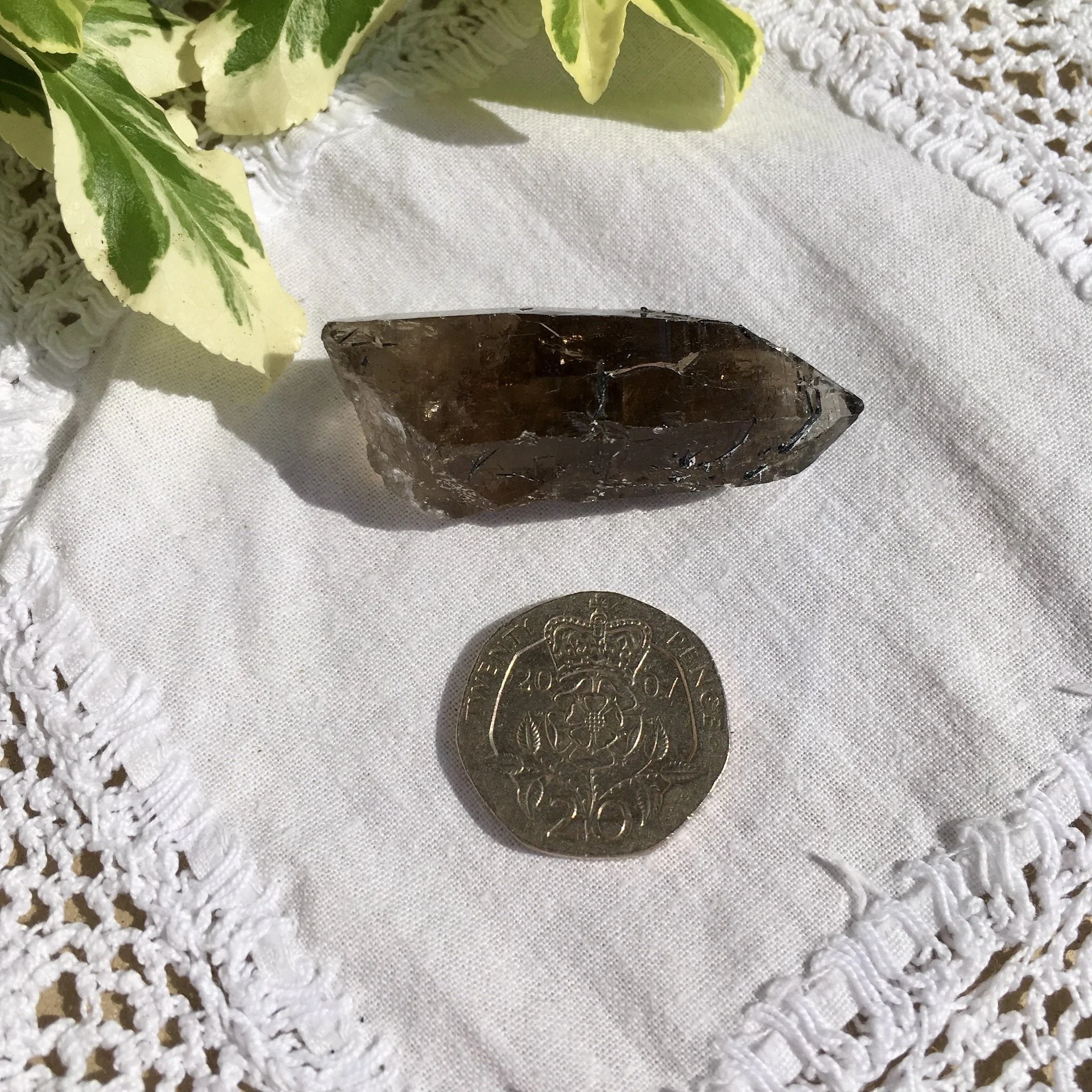 Vietnamese Smoky 8c.jpeg