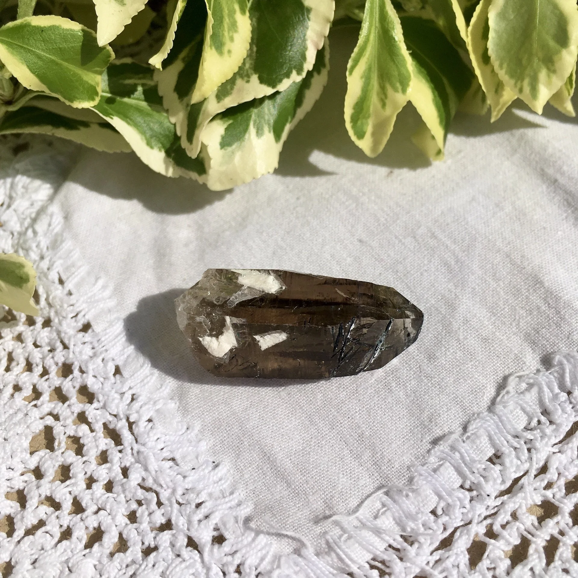 Vietnamese Smoky 13a.jpeg