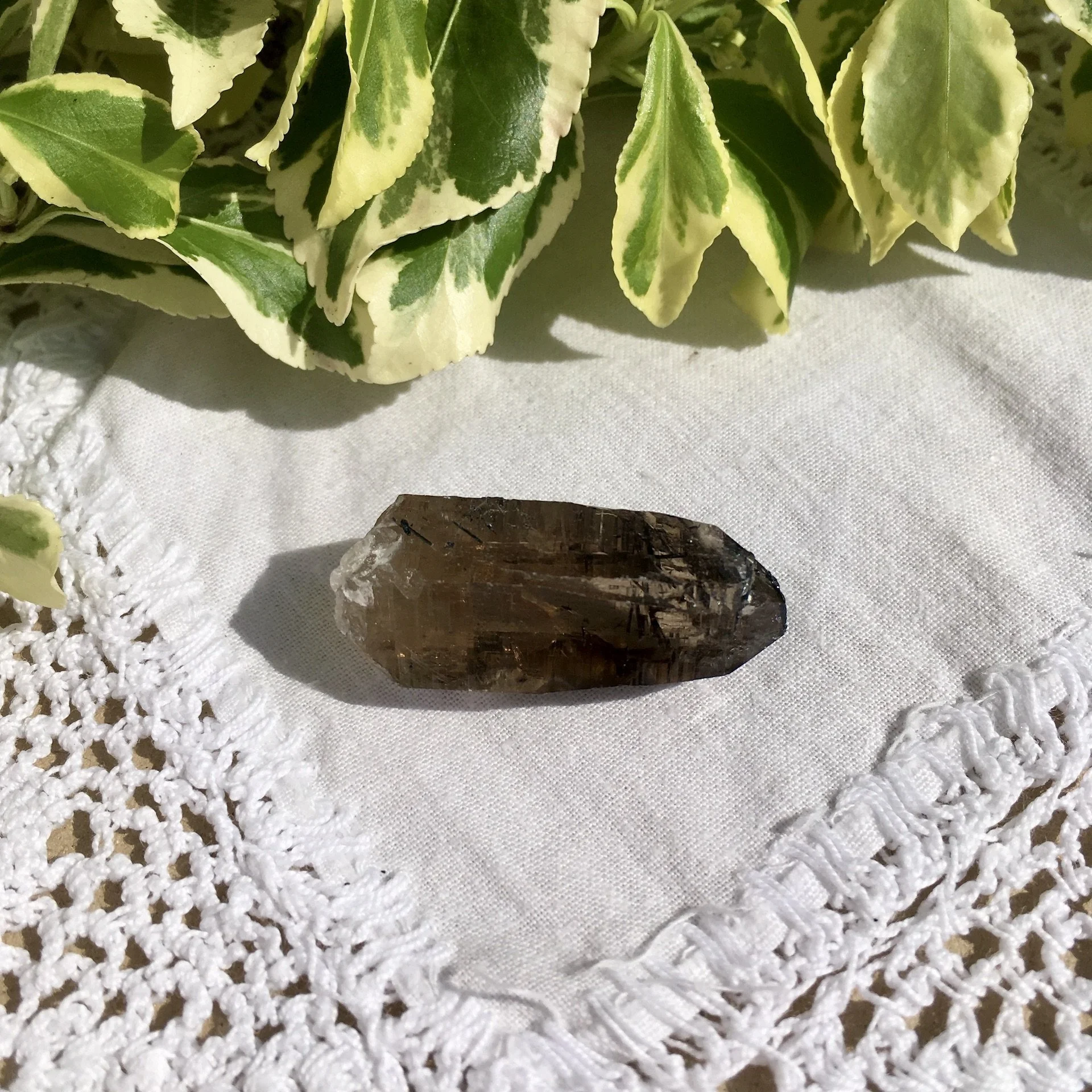 Vietnamese Smoky 13b.jpeg