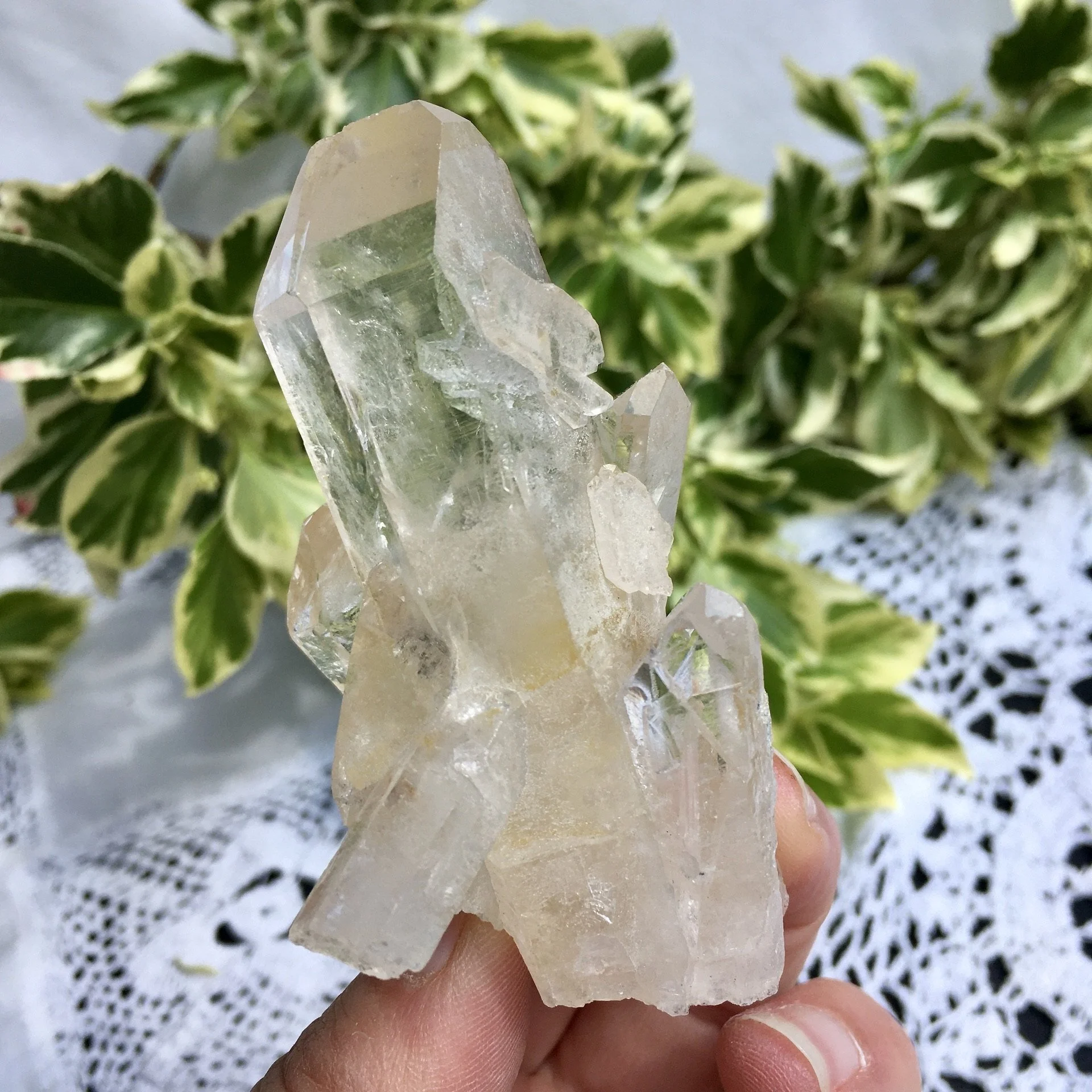 Quartz cluster 7d.jpeg