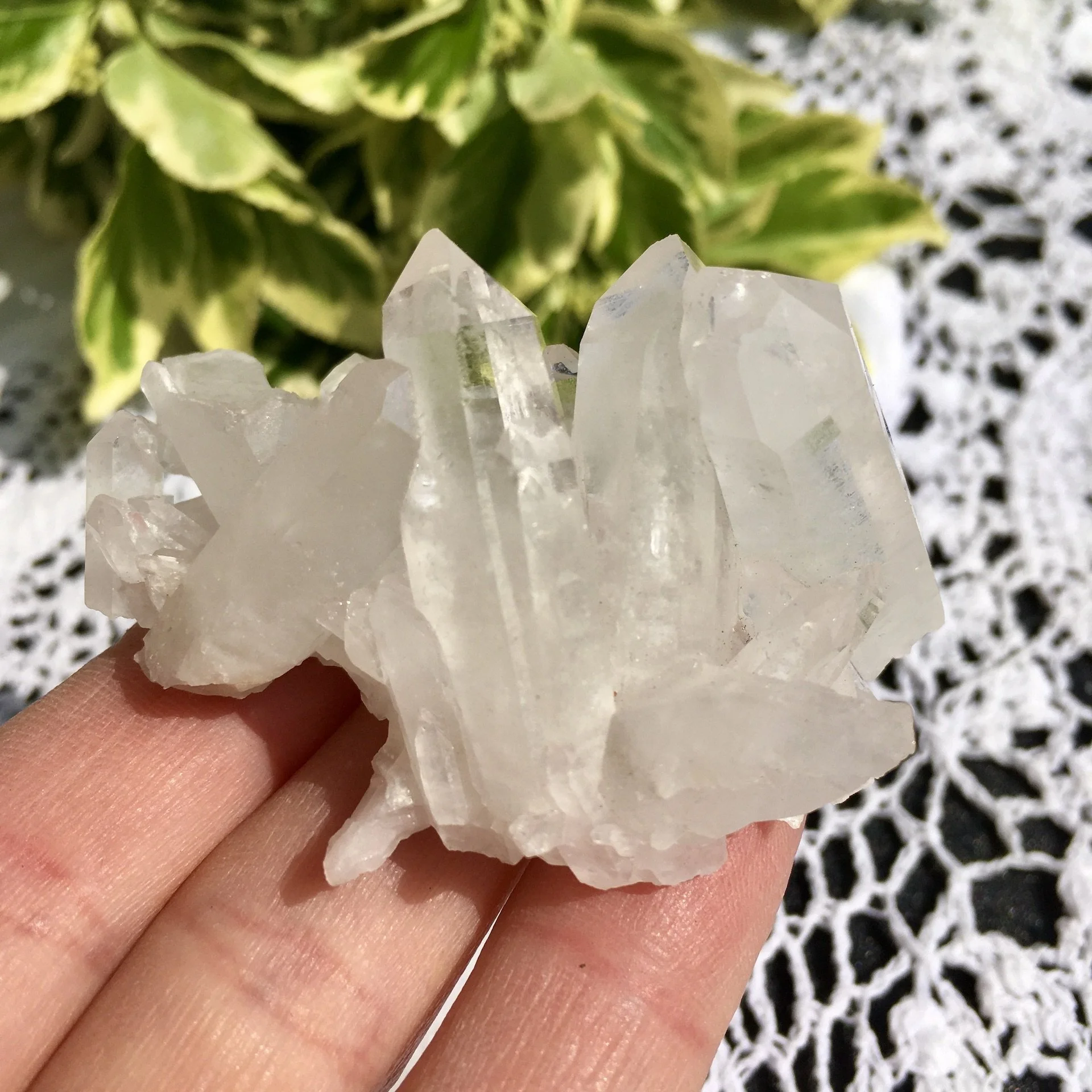 Quartz cluster 11d.jpeg