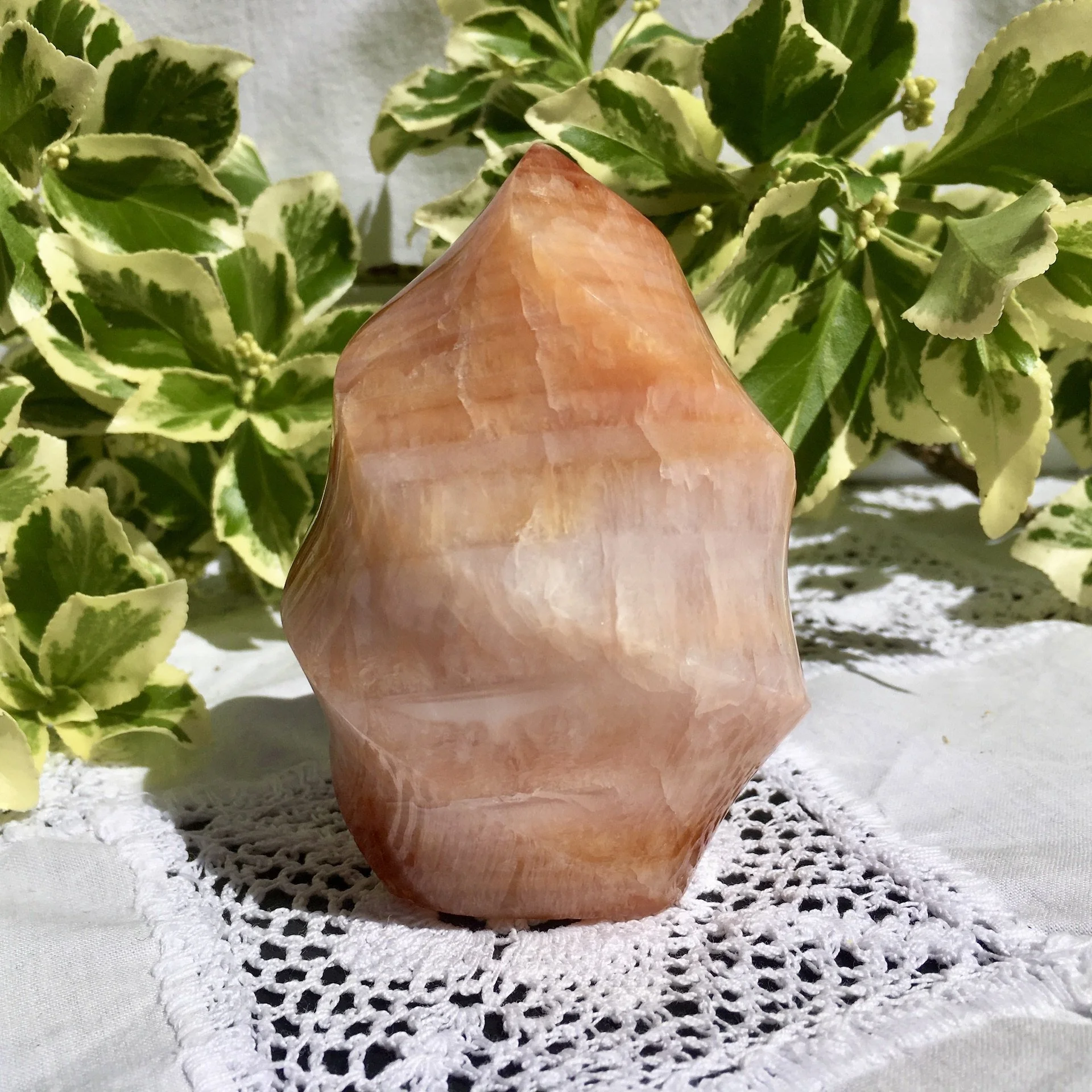 Carnelian Flame 1b.jpeg