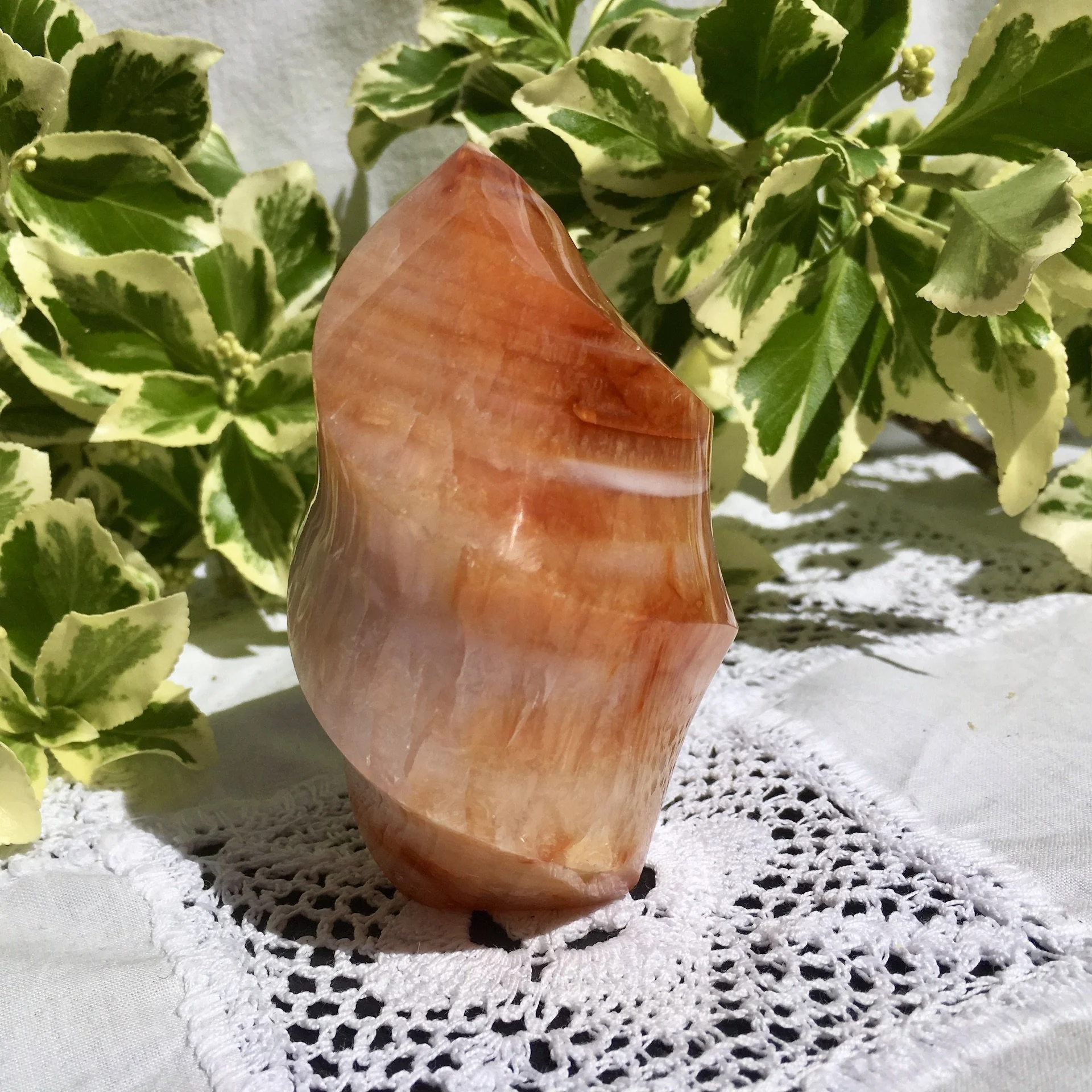 Carnelian Flame 1d.jpeg