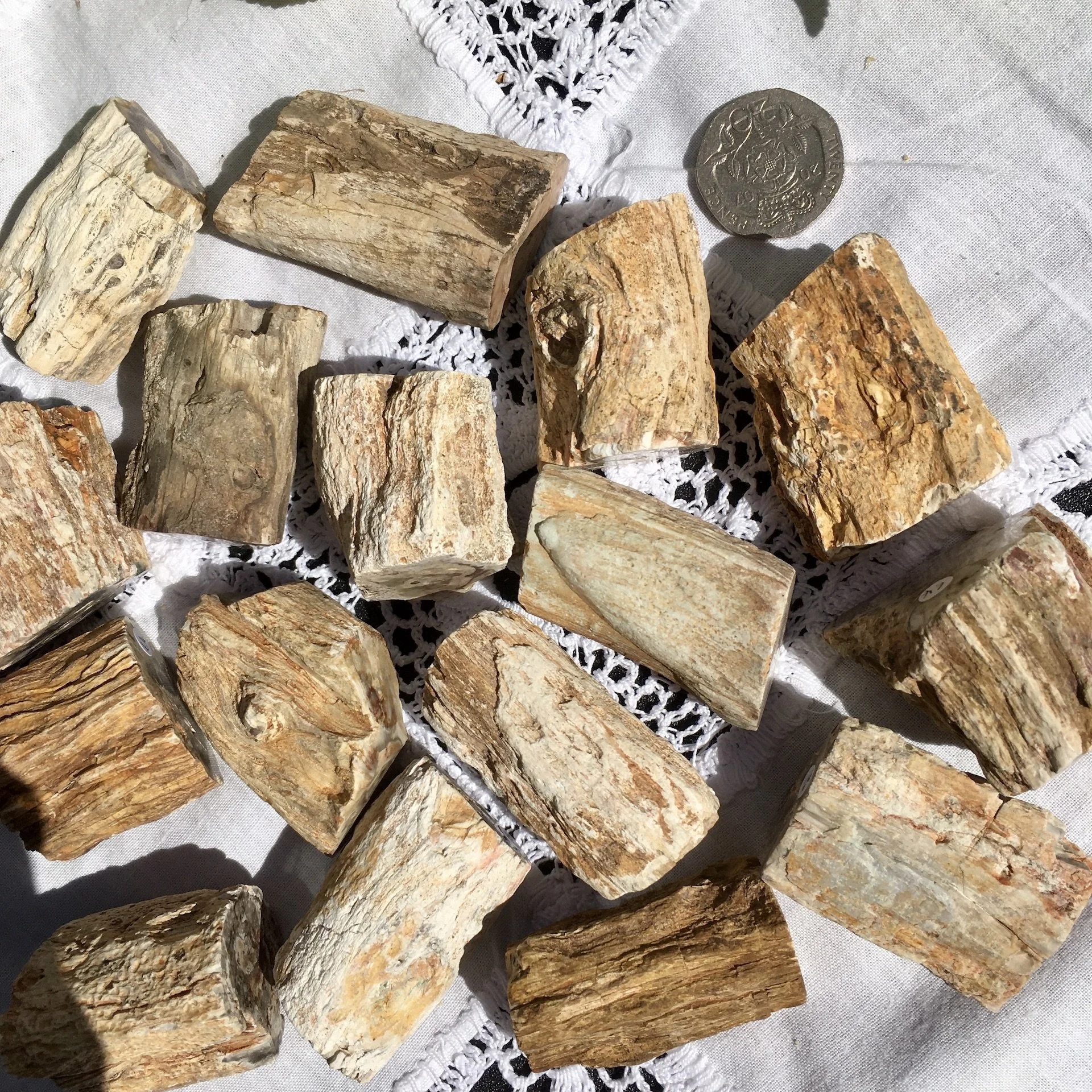 Pet wood branch £4b.jpeg